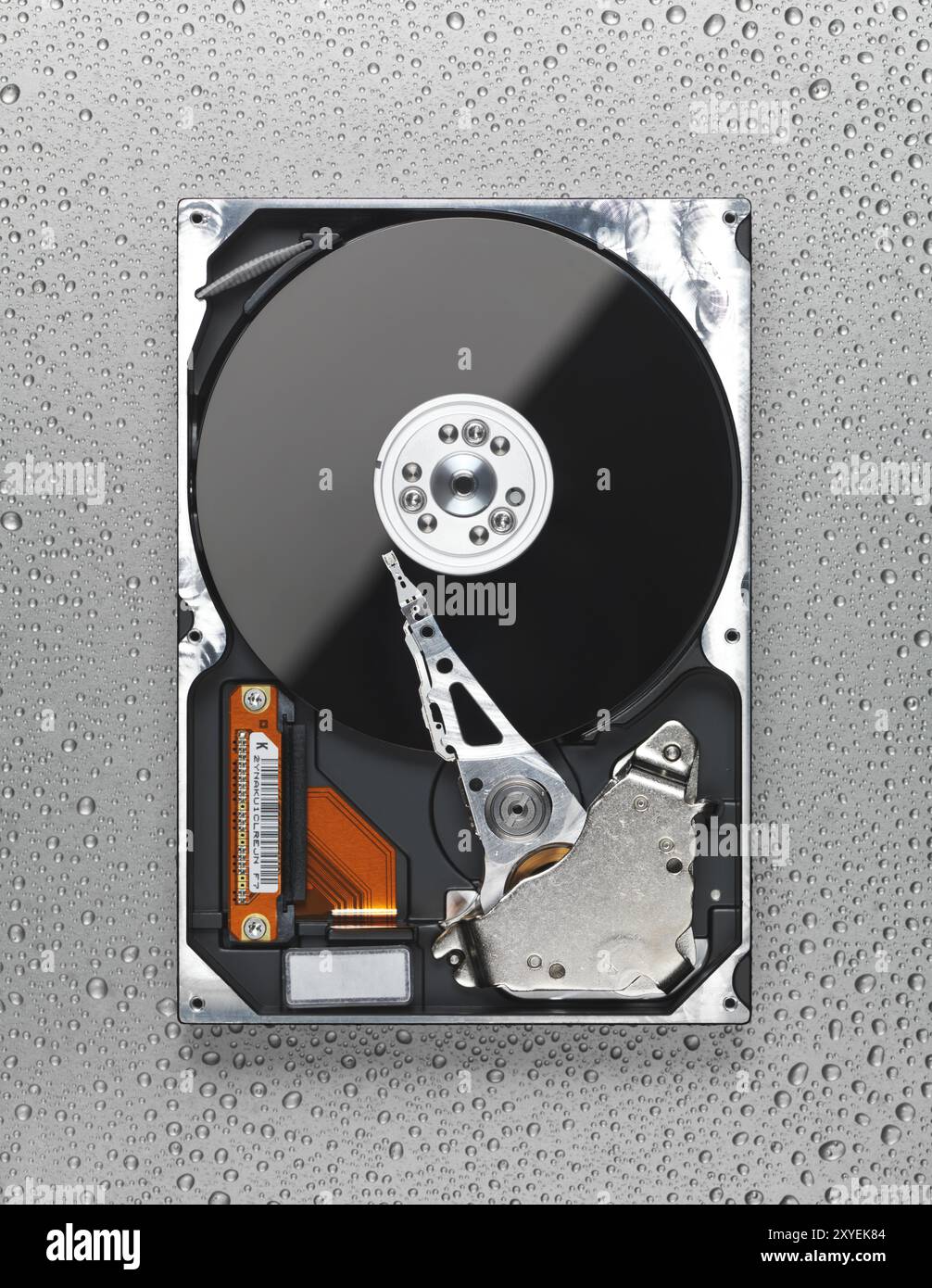 Open computer hard disk drive HDD on wet metal surface Stock Photo