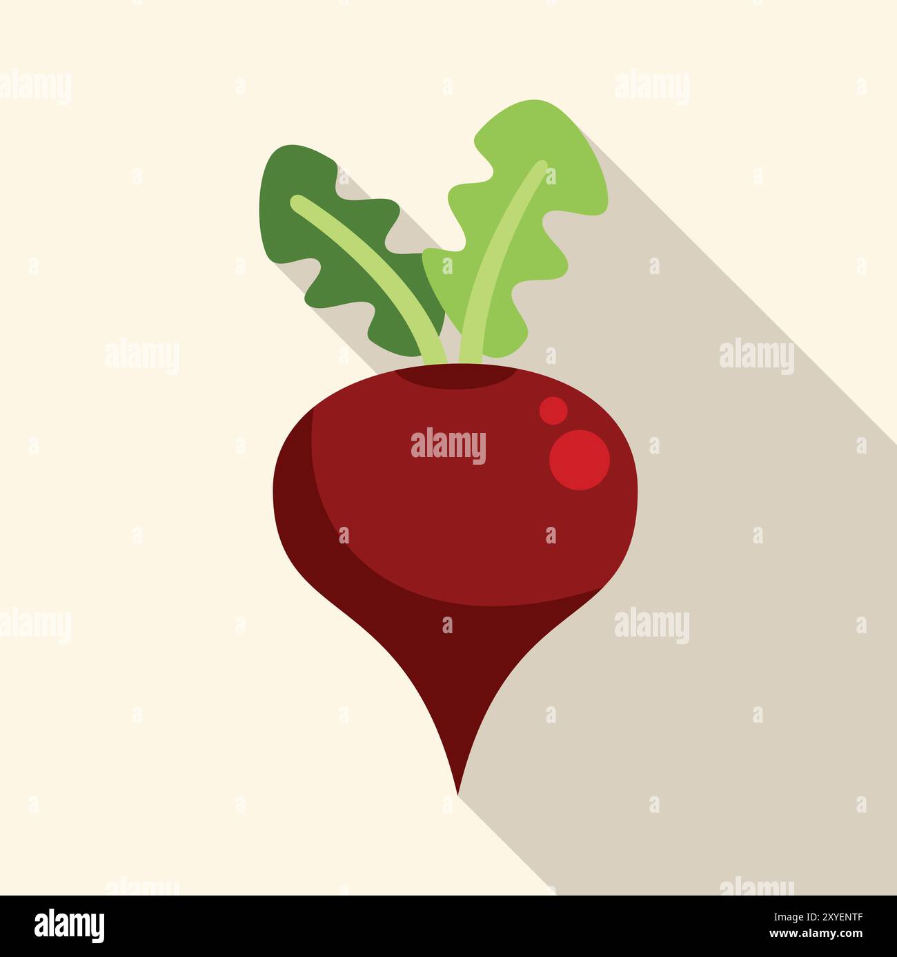 Beetroot with two leaves is casting a long shadow in this flat design illustration Stock Vector