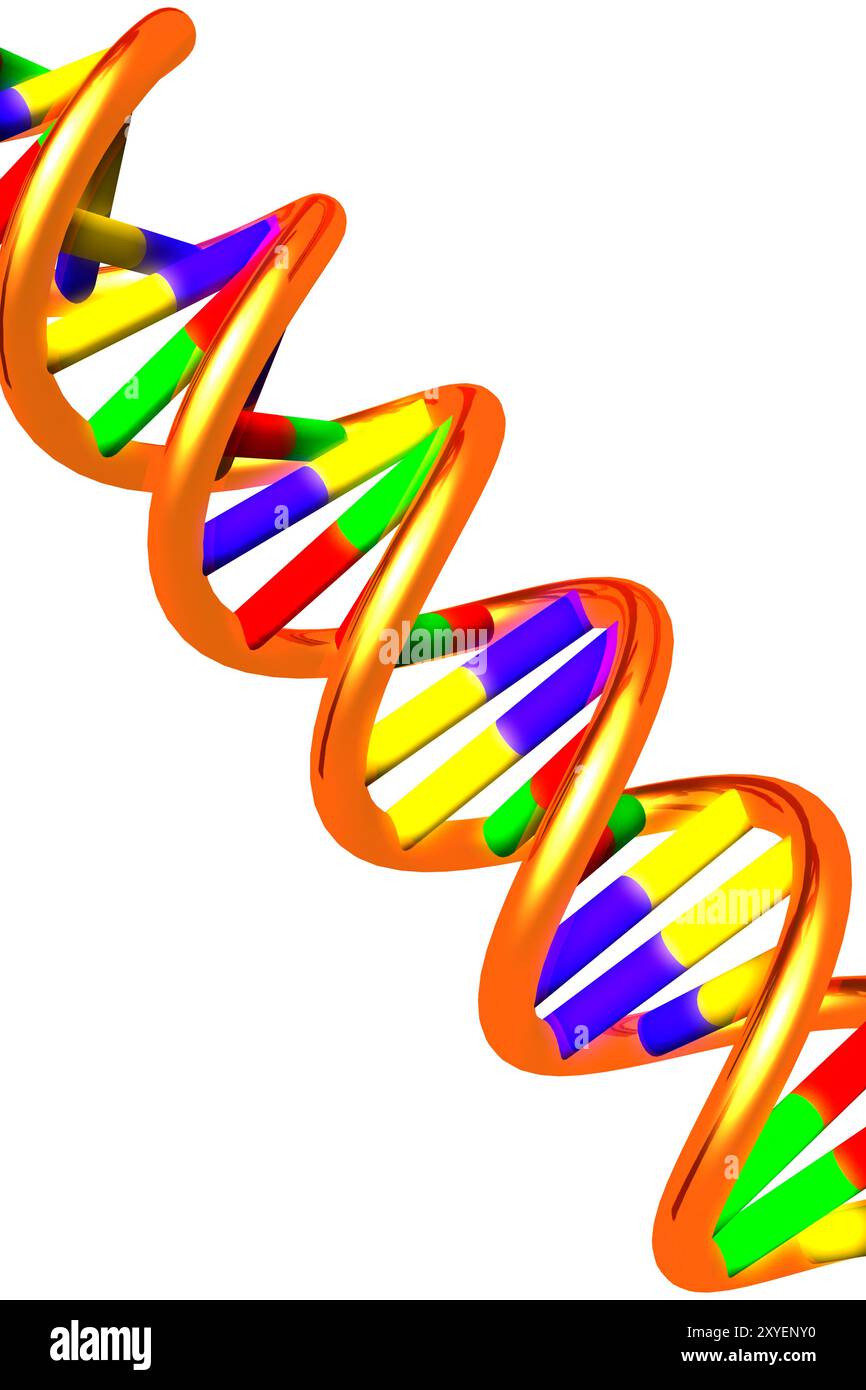 DNA molecule double helix 3D illustration isolated on white background ...