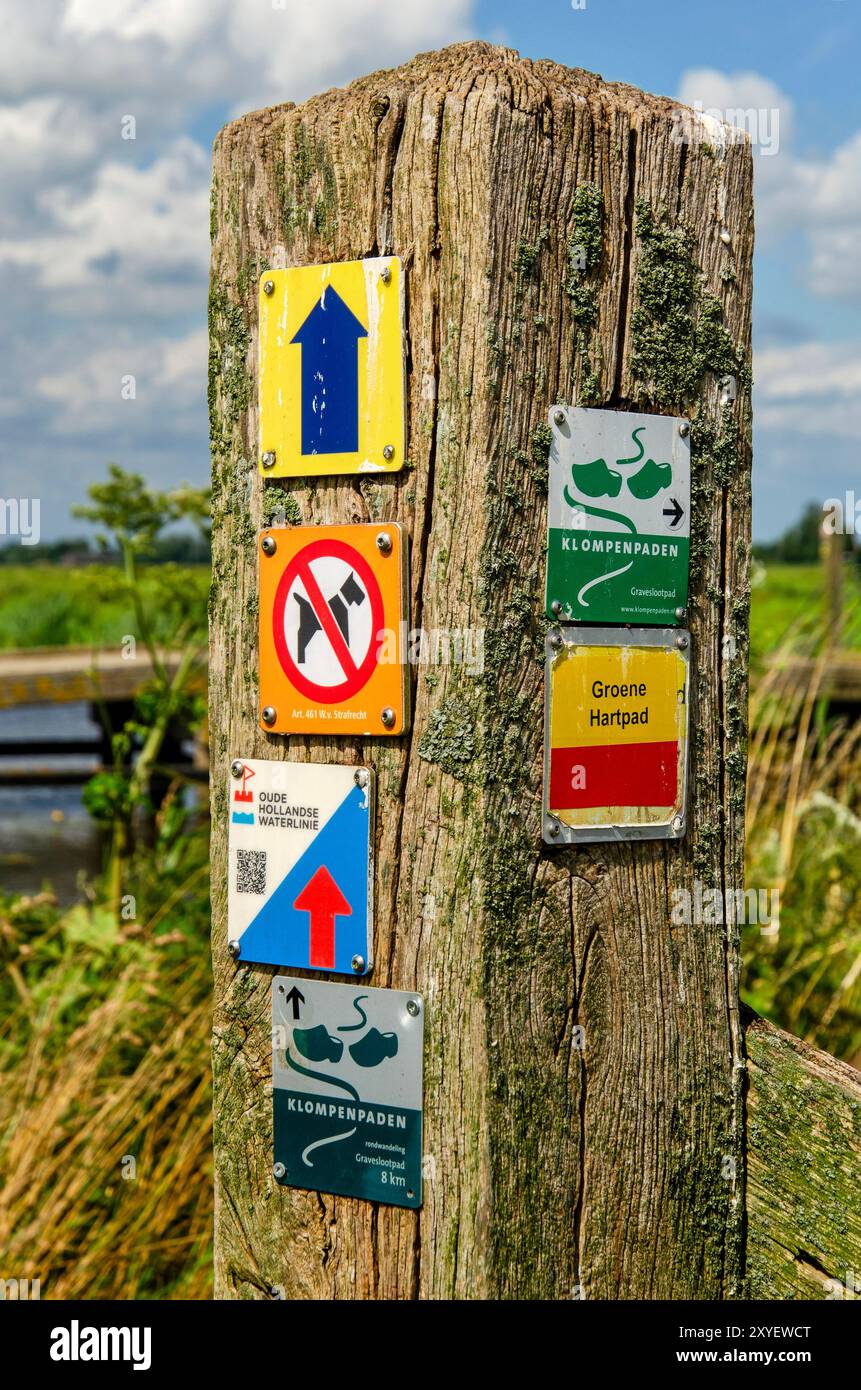 Woerden, The Netherlands, July 24, 2024: wooden pole in a polder landscape with a variety of hiking routes as well as a no dogs sign Stock Photo