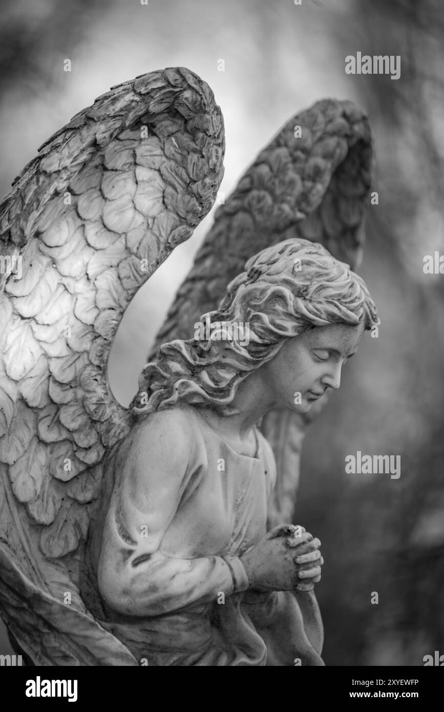 Close up of a statue of an angel on the graveyard Tegeler Fliess, Berlin, Germany, Europe Stock Photo