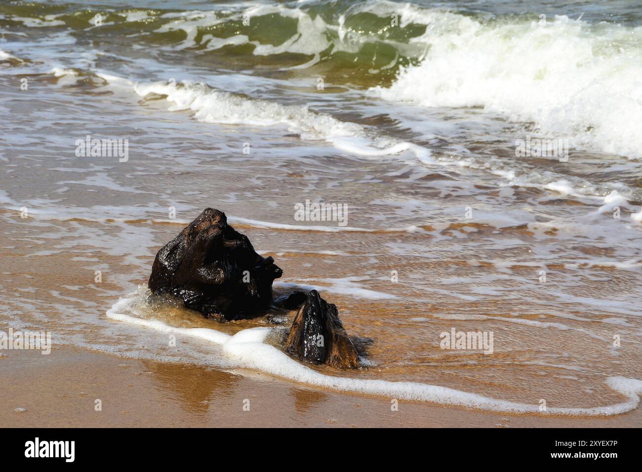 On the Polish Baltic coast Stock Photo