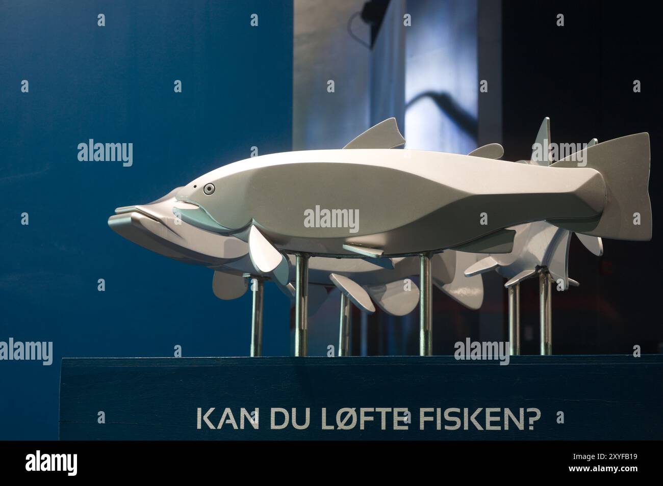 model fish at Aqua aquarium in Silkeborg for testing a child's strength ...