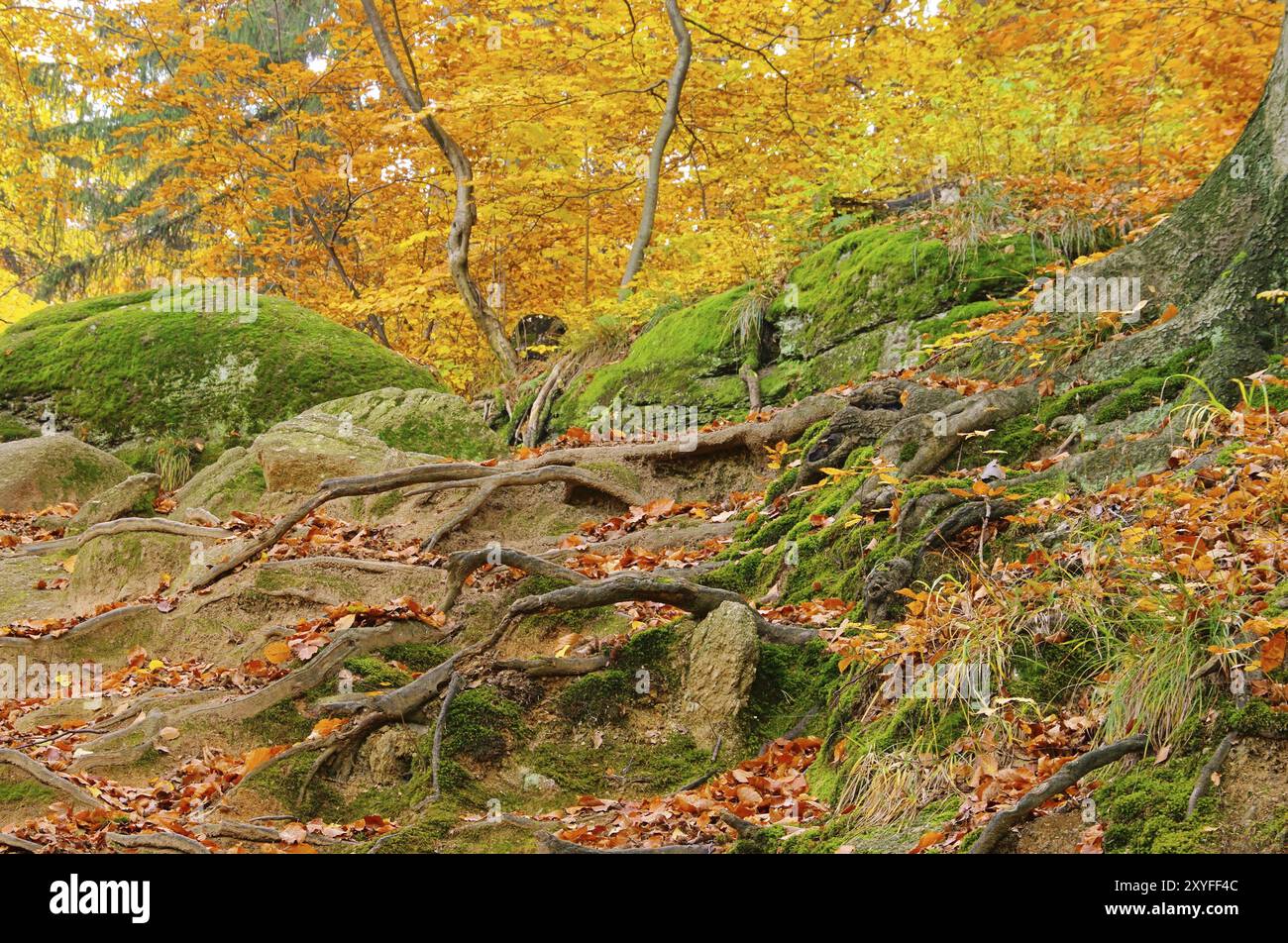 Hiking trail 08 Stock Photo - Alamy