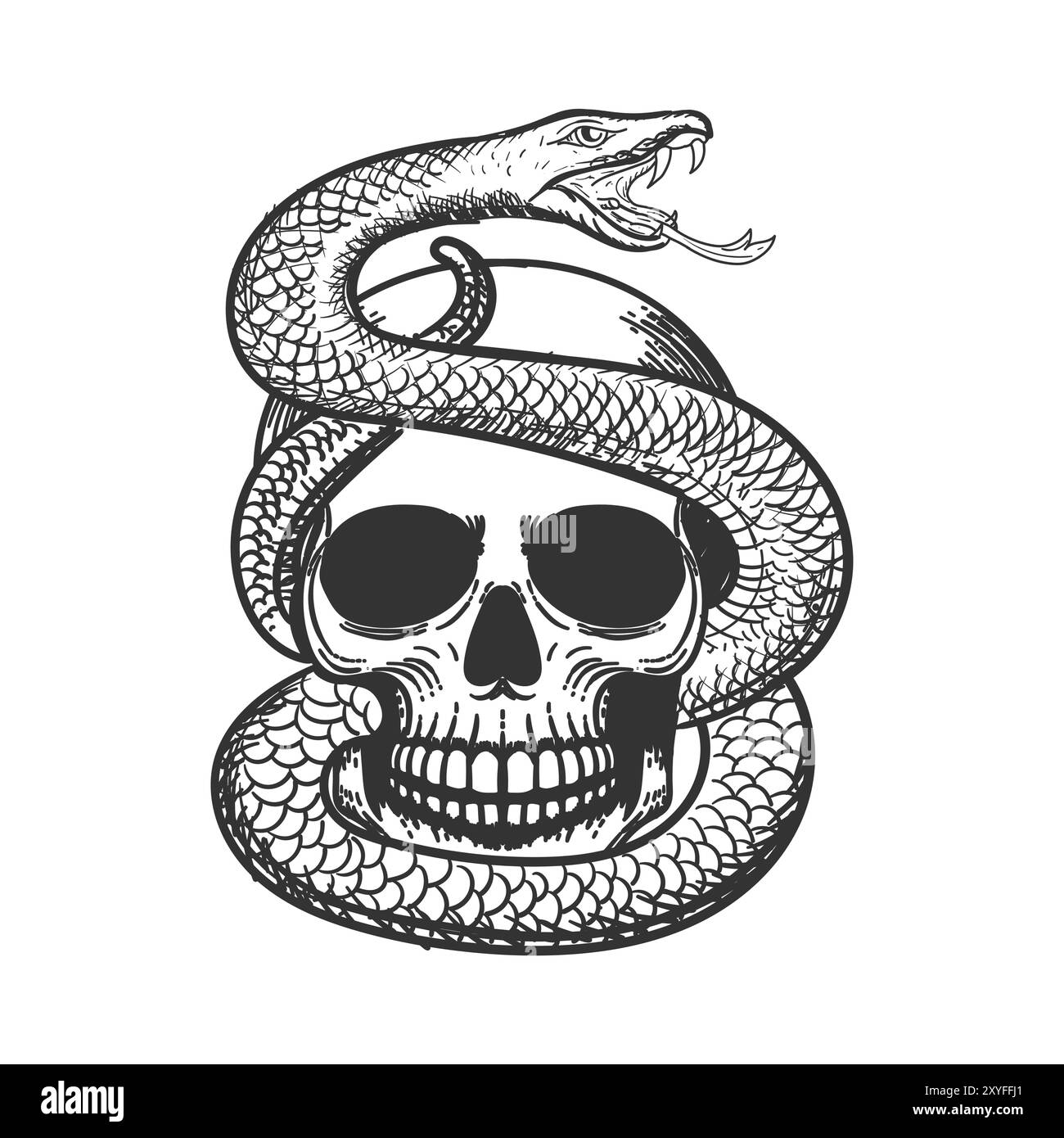 A Human Skulls with Venomous Snake and on white background Illustration Vector Stock Vector