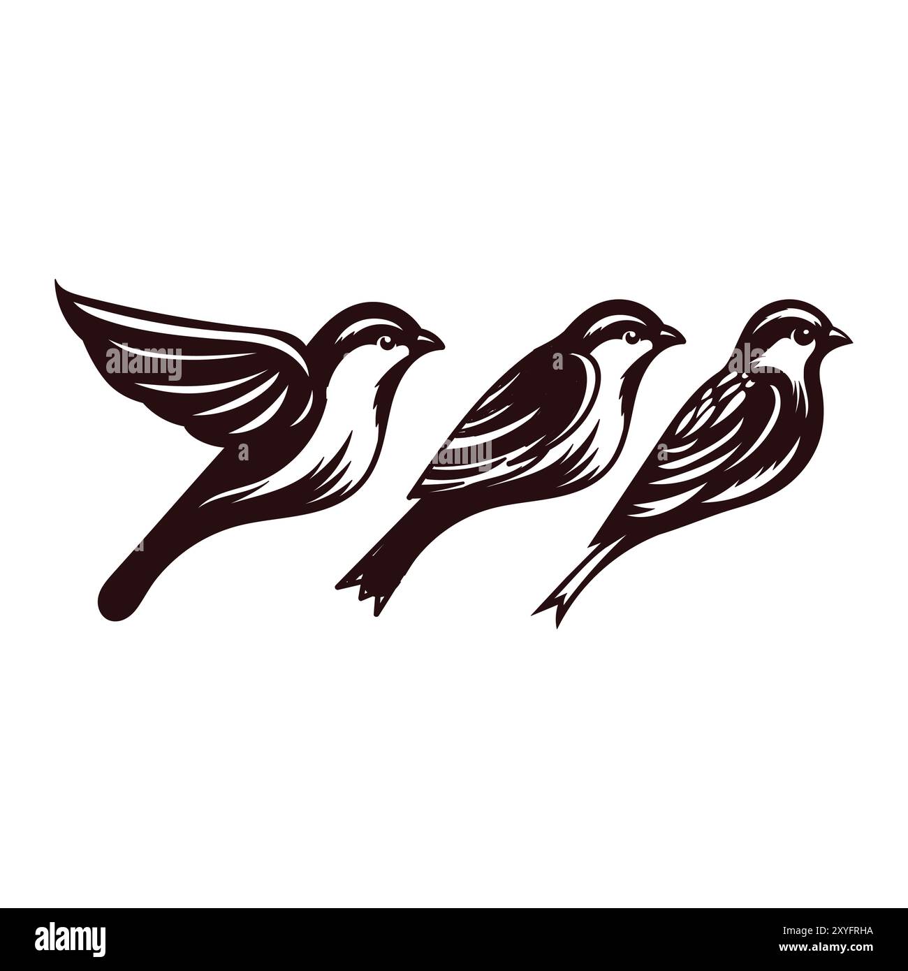 Collection of Canary Robin Sparrow Bird , Black White Style. Vector