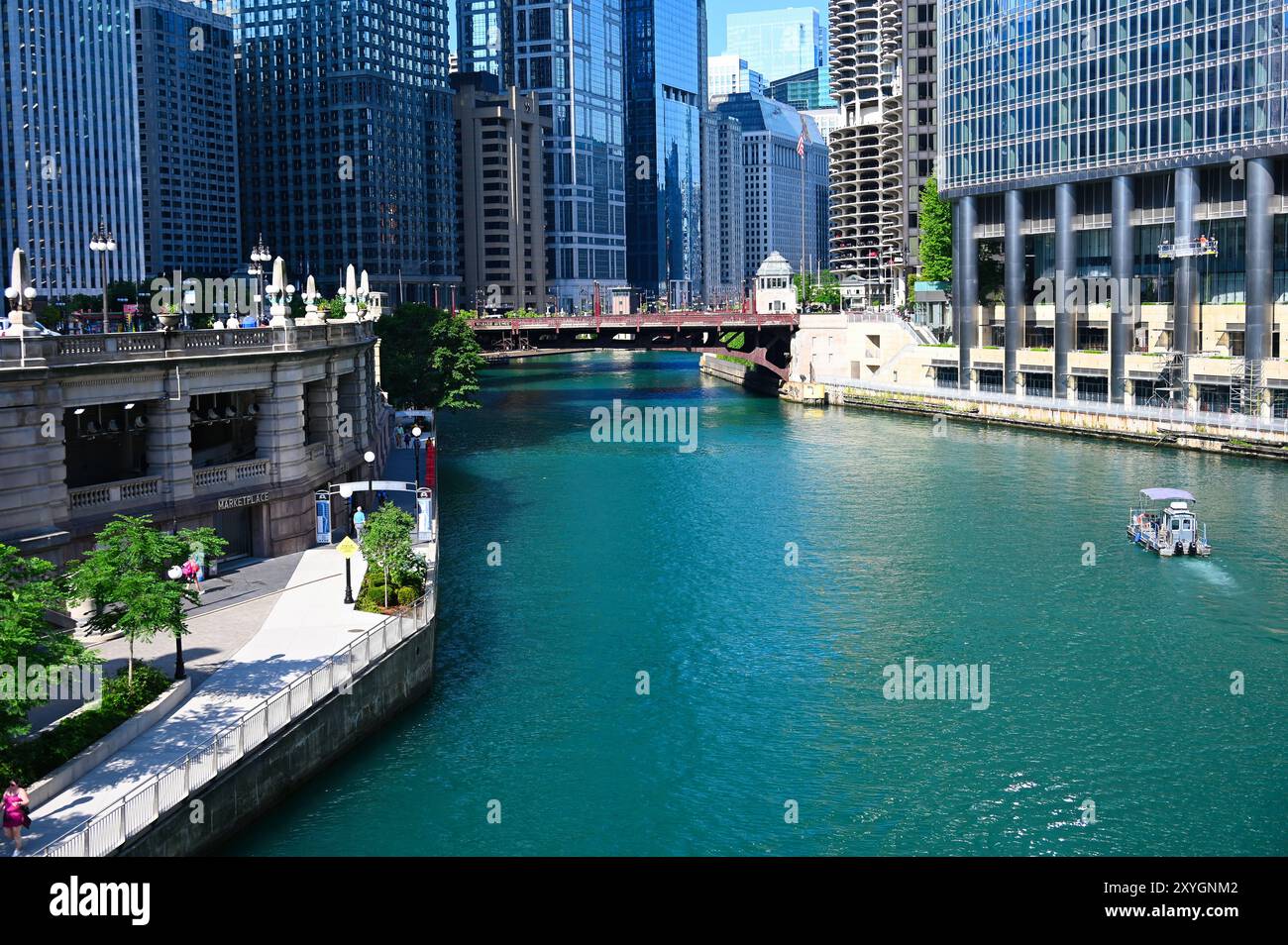 Views of the architecture from the Chicago River Stock Photo - Alamy