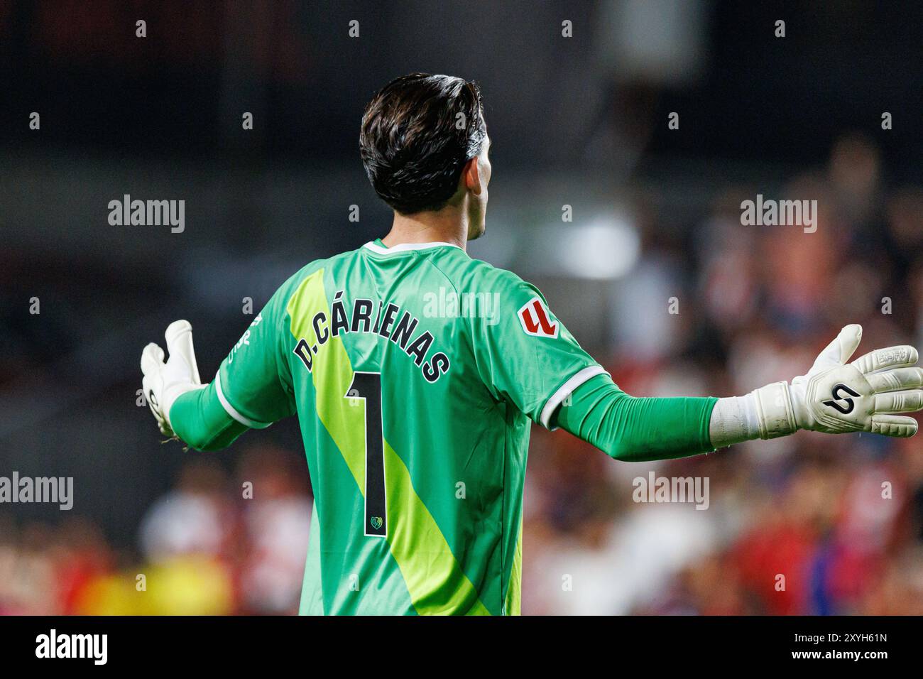 dani-cardenas-seen-during-laliga-ea-sports-game-between-teams-of-rayo
