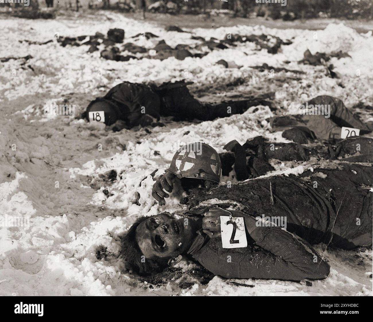 Corpses of American soldiers killed by the SS in the Malmedy atrocity and identified by number lie in the snow. The Malmedy massacre was the summay execution of 84 captured US soldiers by the Waffen-SS. The massacre tok place on 17th December 1944 during the German's Ardennes Offensive, aka the Battle of the Bulge. Stock Photo