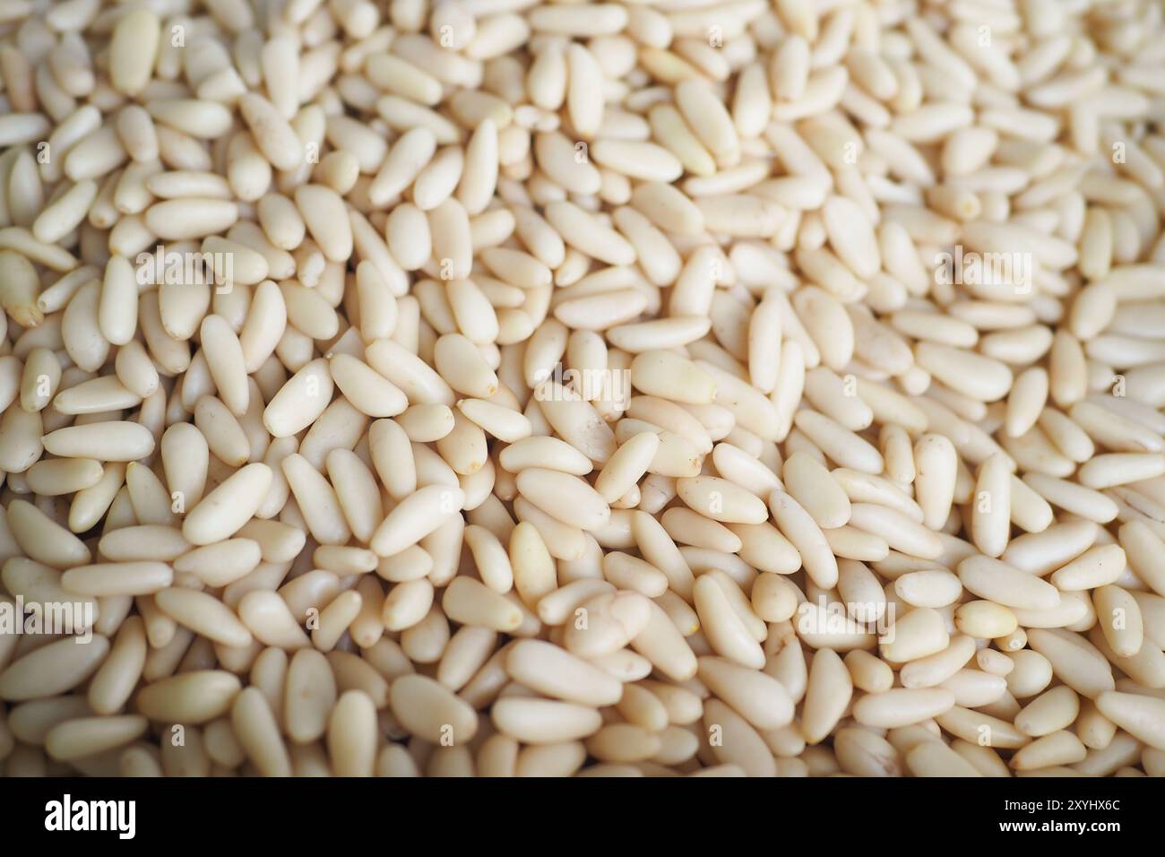 overhead view of pine nuts in a bowl  Stock Photo