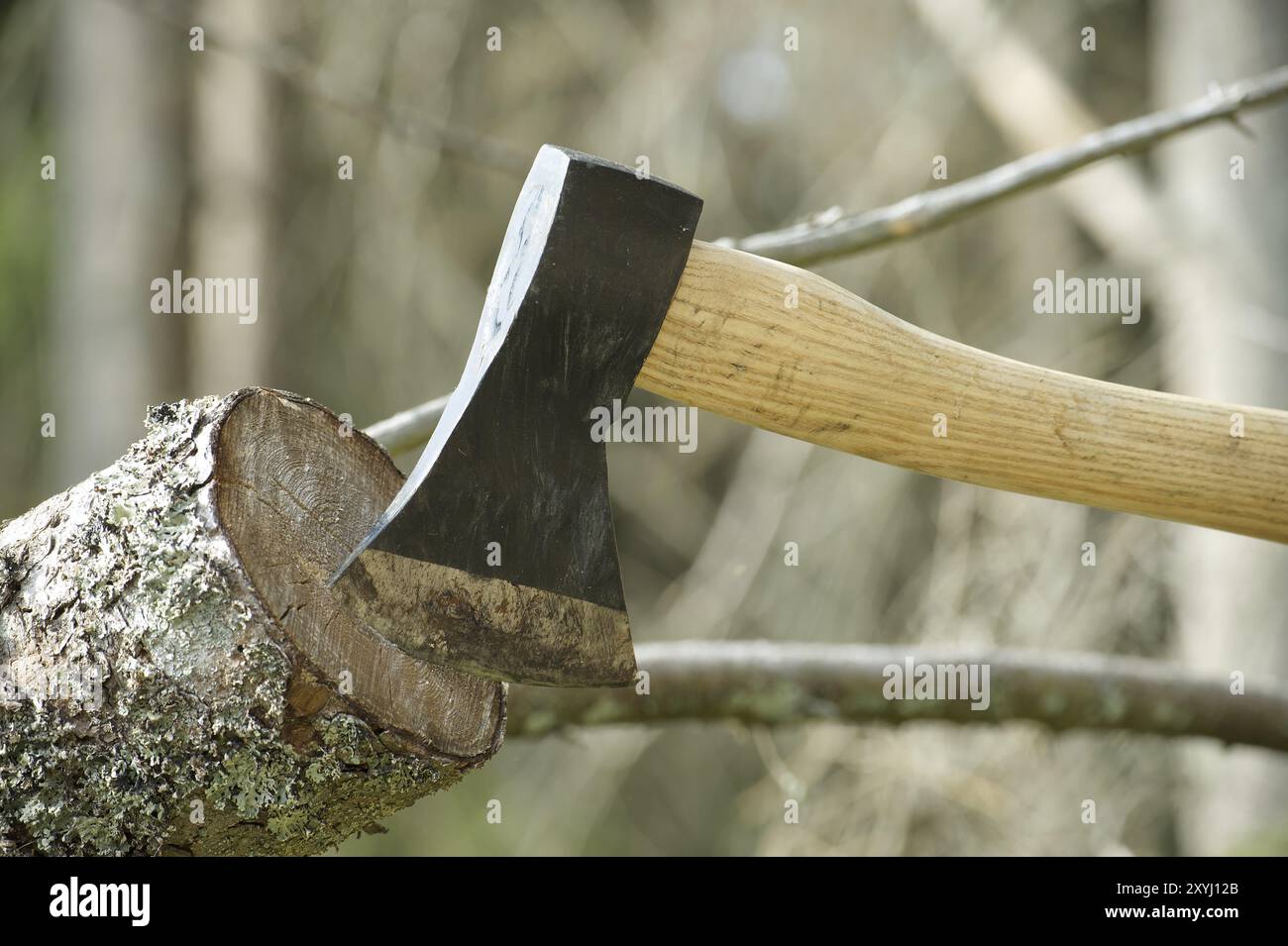 Hatchet or ax stuck in a tree stump against of blured forest background. Deforestation, forest clearance or firewood preparation for winter Stock Photo