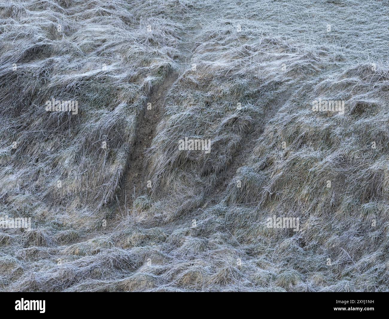 Beaver Sliding Beaver slides hi-res stock photography and images - Alamy