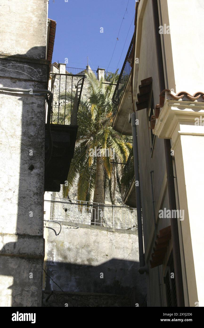 Palm trees line streets hi-res stock photography and images - Alamy