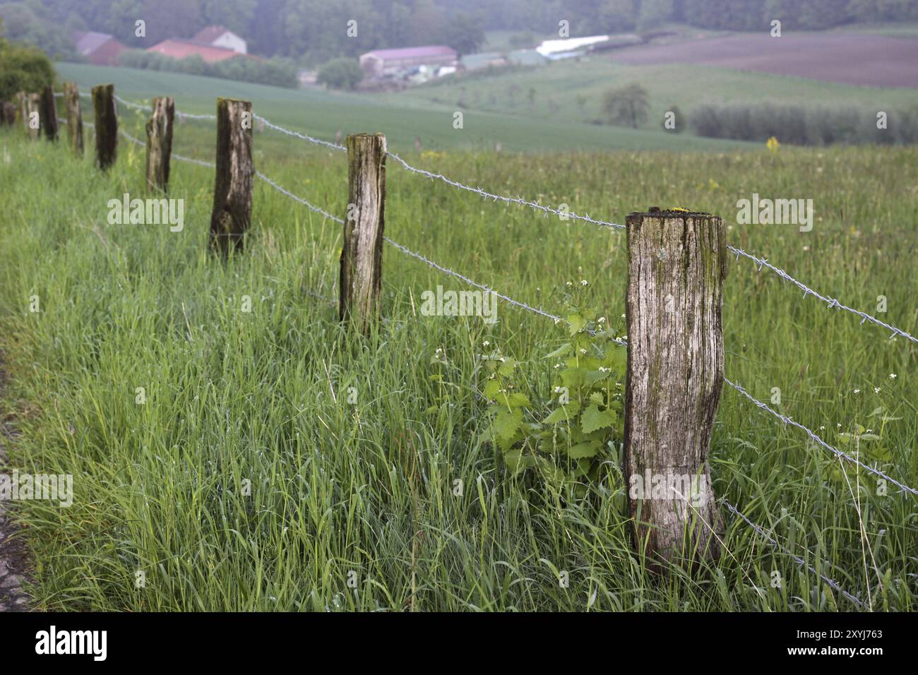 Fence made poles hi-res stock photography and images - Alamy