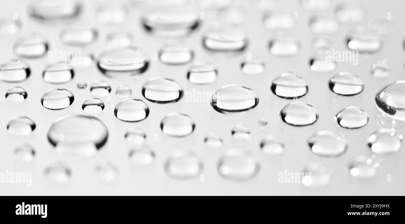 Water droplets on a white background. Macro shot Stock Photo - Alamy