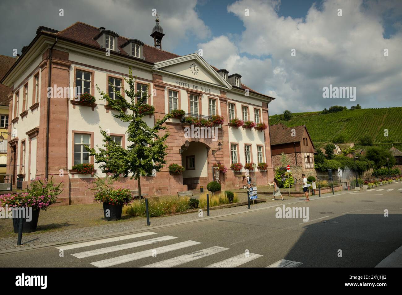 view on the city of Riquewihr in Alsace in France Stock Photo