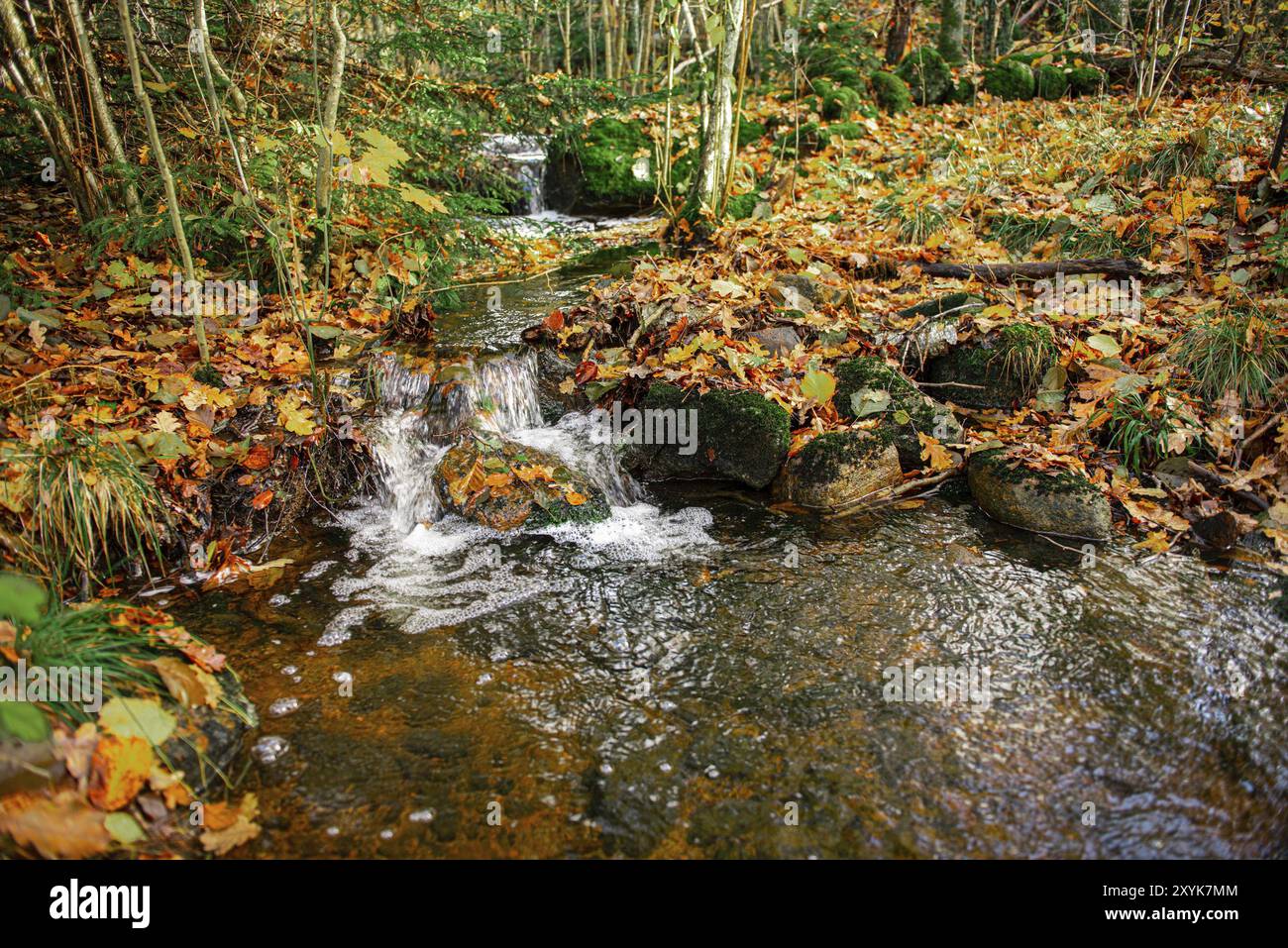 Wave Passing Between Two Rocks A small and lively stream passing between rocks Stock Photo - Alamy