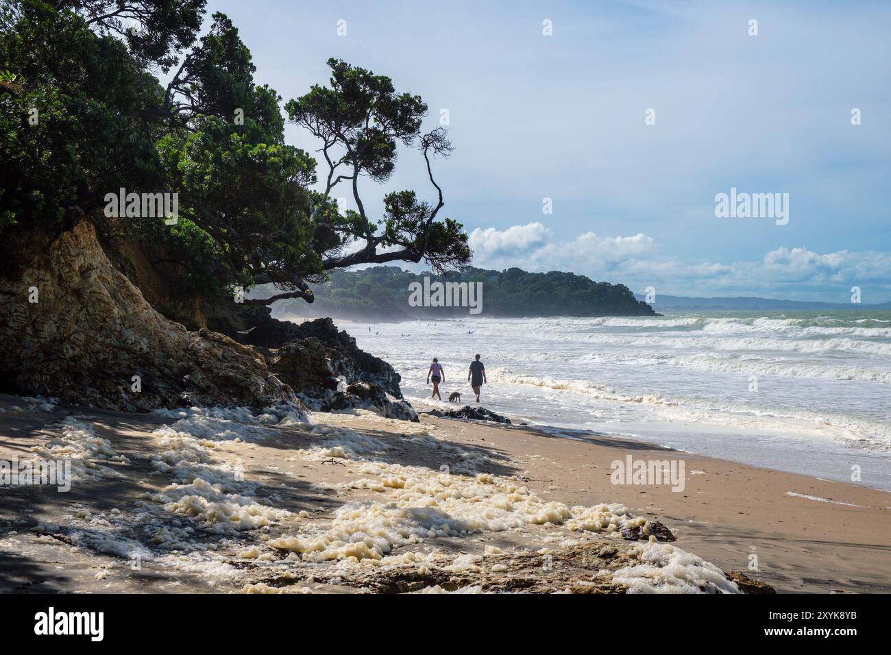 Sea foam washed up on the sand at Langs Beach, McKenzie Cove, North Island, New Zealand Stock Photo