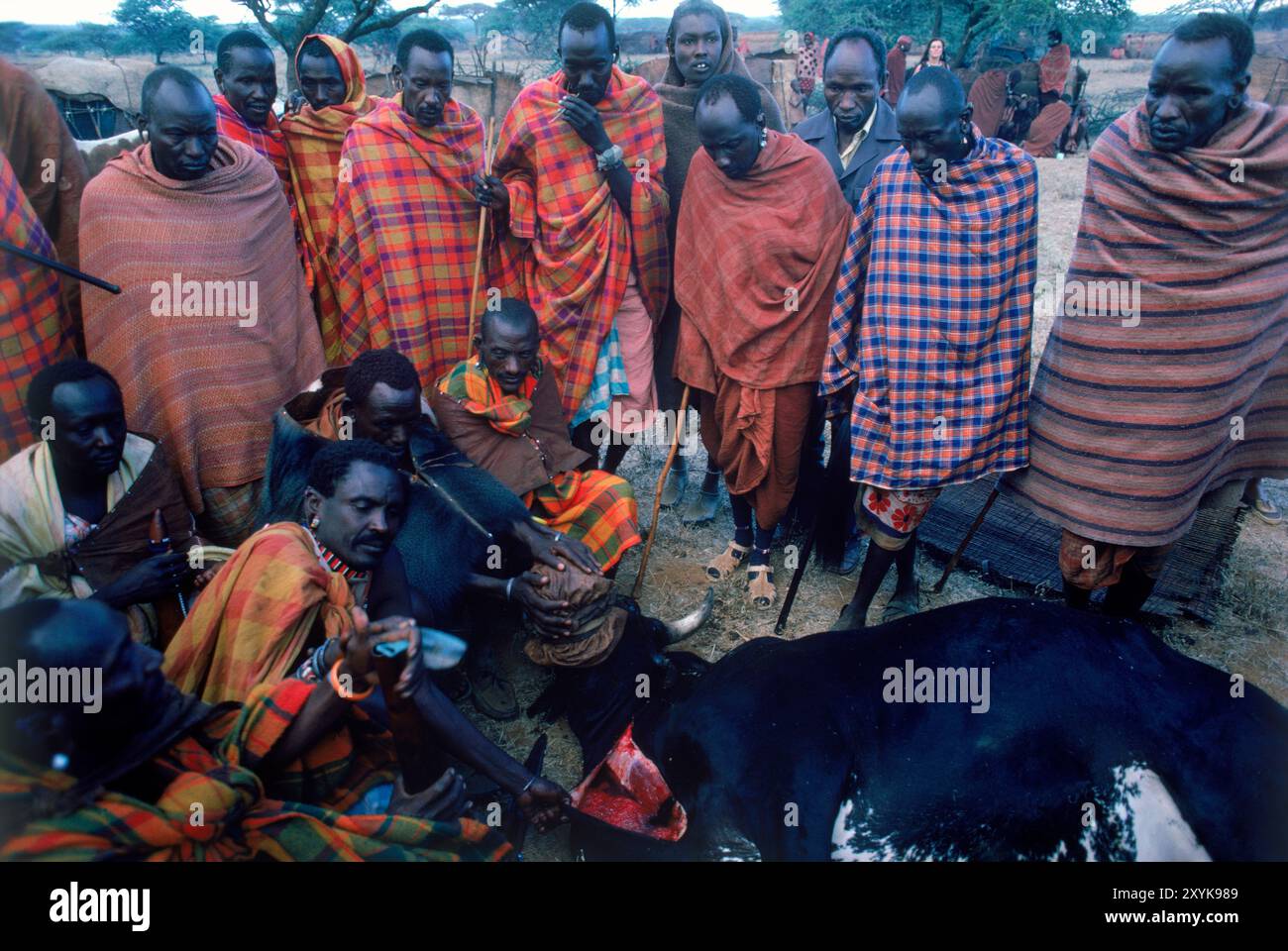 Kenya maasai ceremony hi-res stock photography and images - Alamy