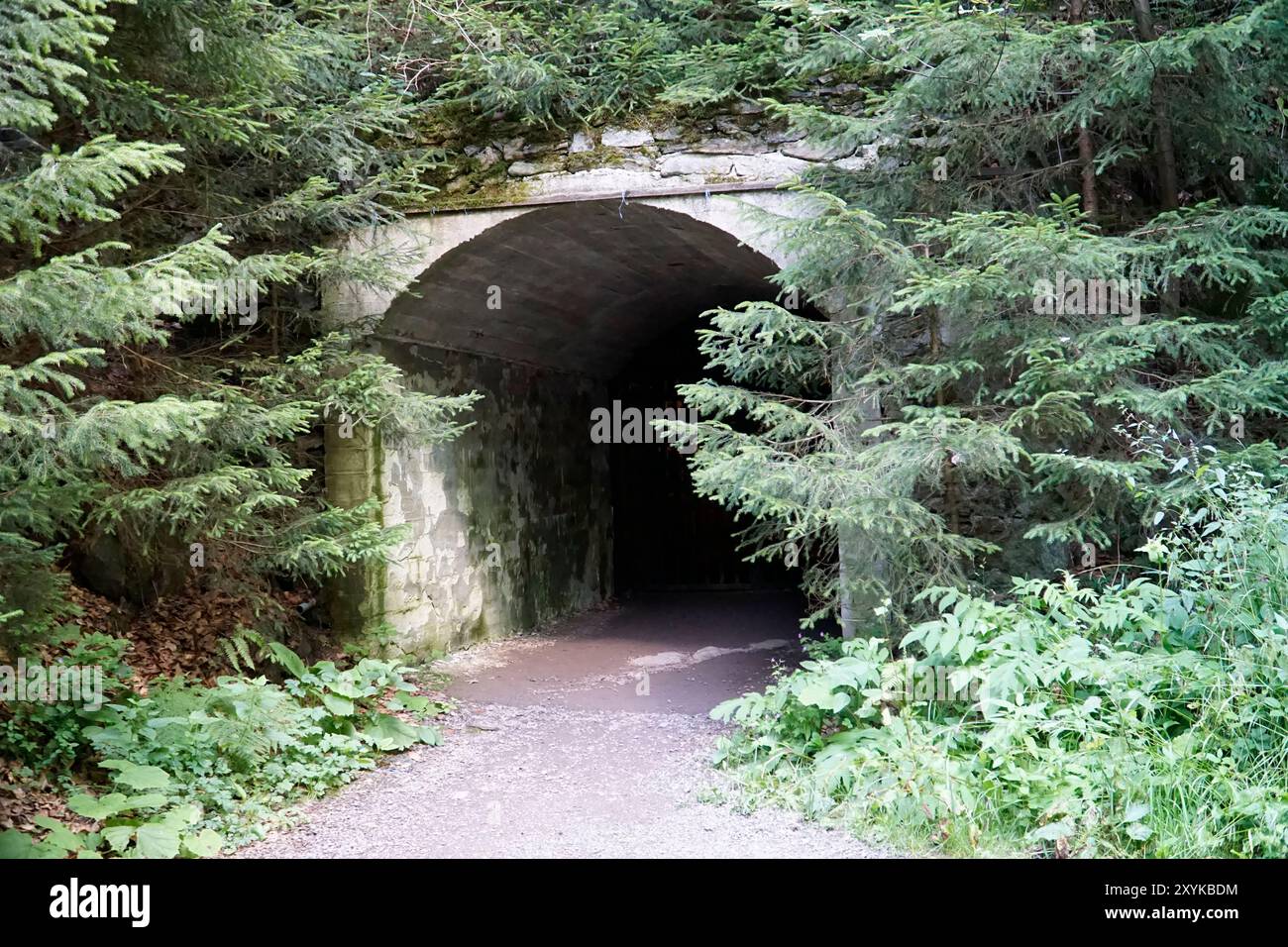 Osowka, Gluszyca, Poland - August 06th, 2024 - Entrance to III Reich secret underground tunnels - Project Riese Stock Photo