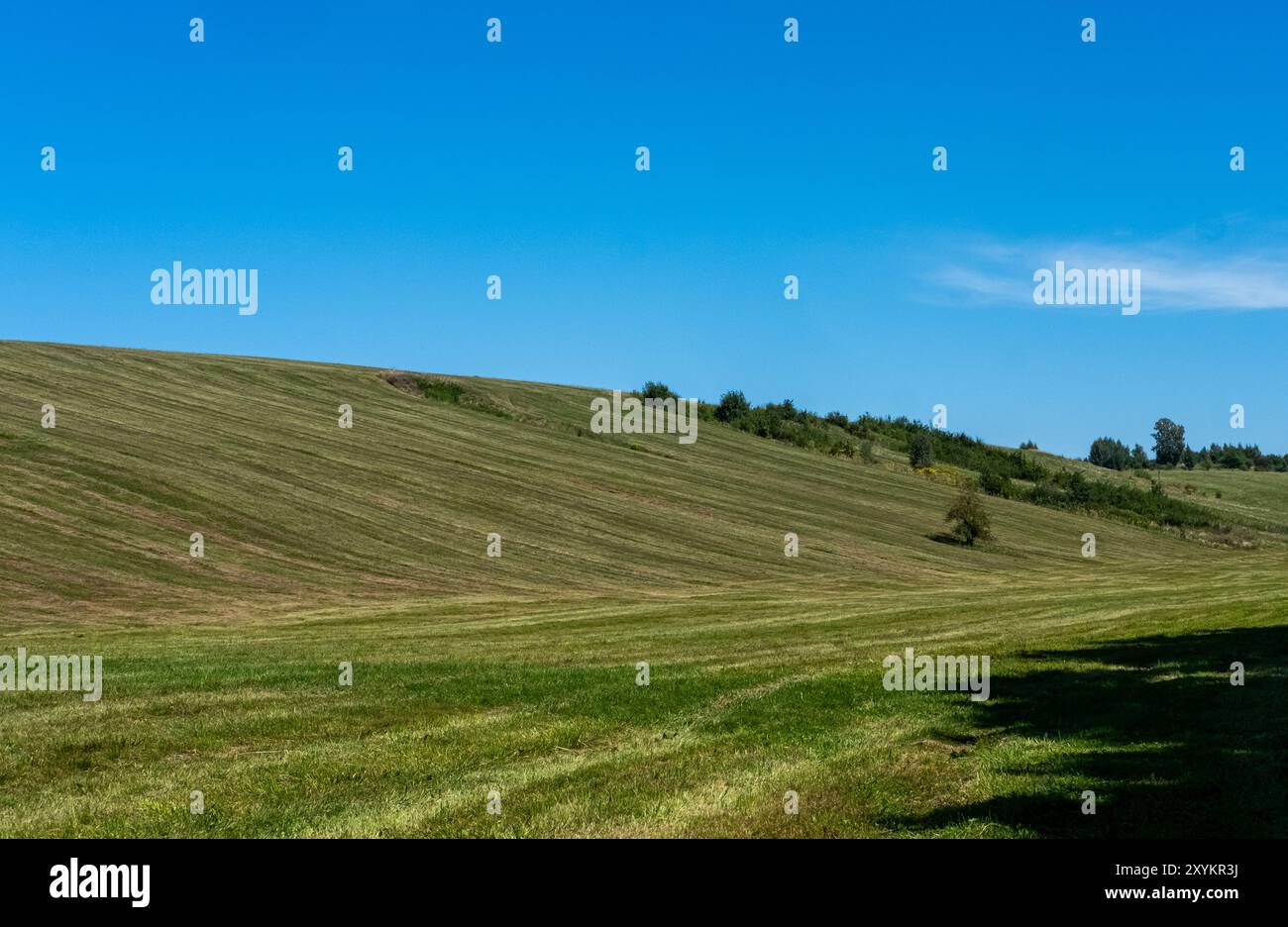 Green grassy hills in rolling hi-res stock photography and images - Alamy