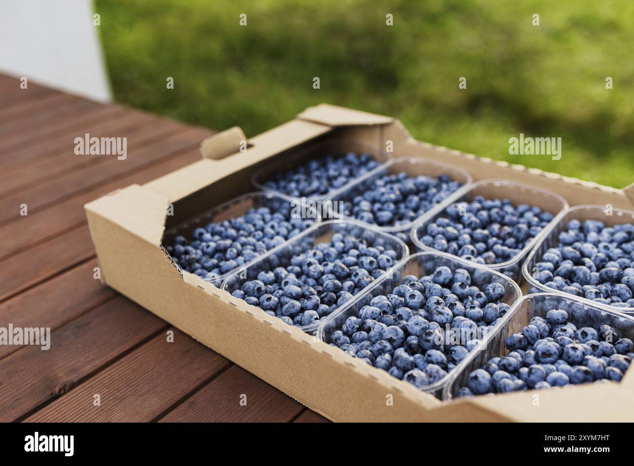 Blueberry In Box Blueberrie* industries hi-res stock photography and images - Alamy