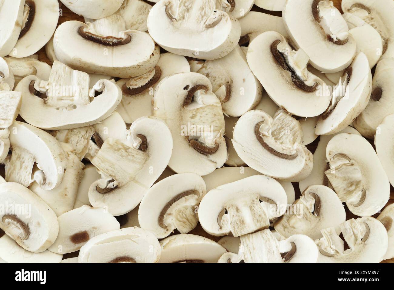 Champignon texture hi-res stock photography and images - Alamy