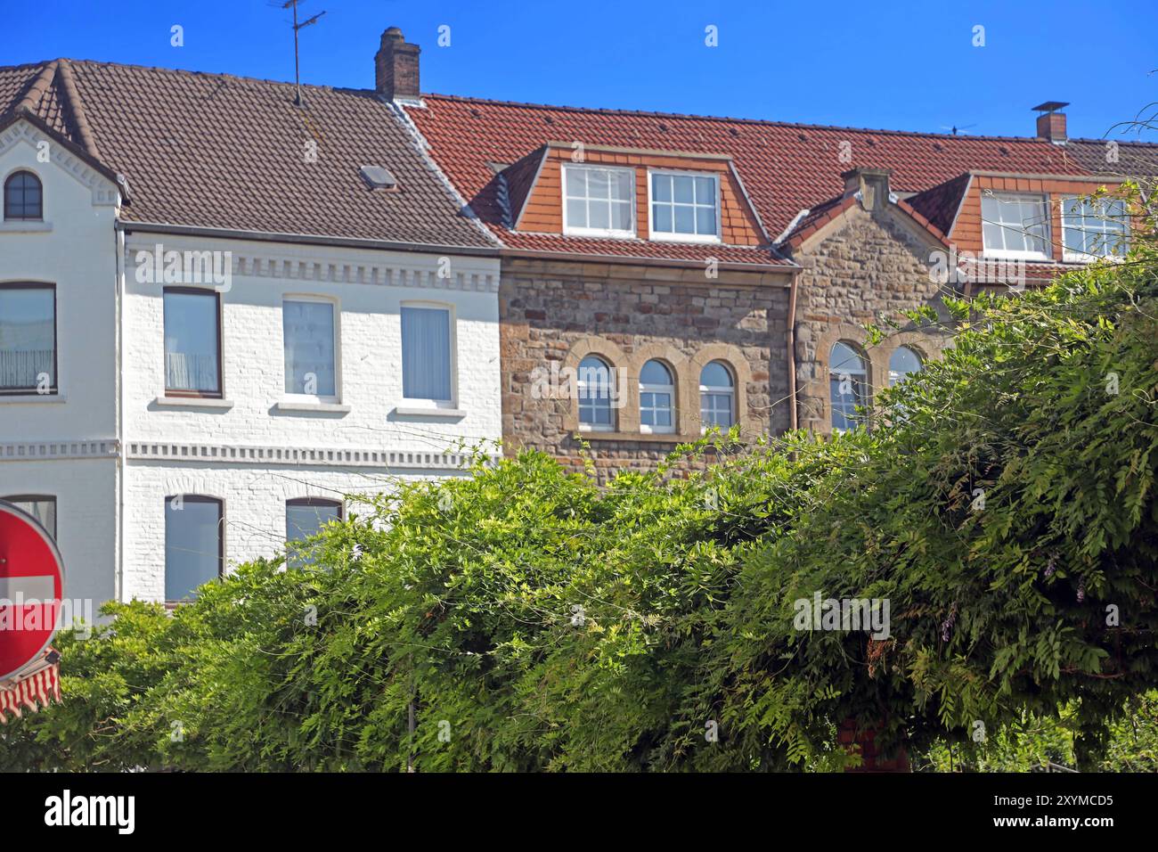 Giftige Zierpflanzen Der Blauregen wchst zur Dekoration am Rand von einem  Marktplatz vor den Husern. Essen Nordrhein-Westfalen Deutschland *** Toxic  ornamental plants The blue rain grows for decoration on the edge of