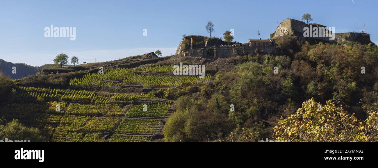 Vineyards in the Ahr valley in autumn Stock Photo