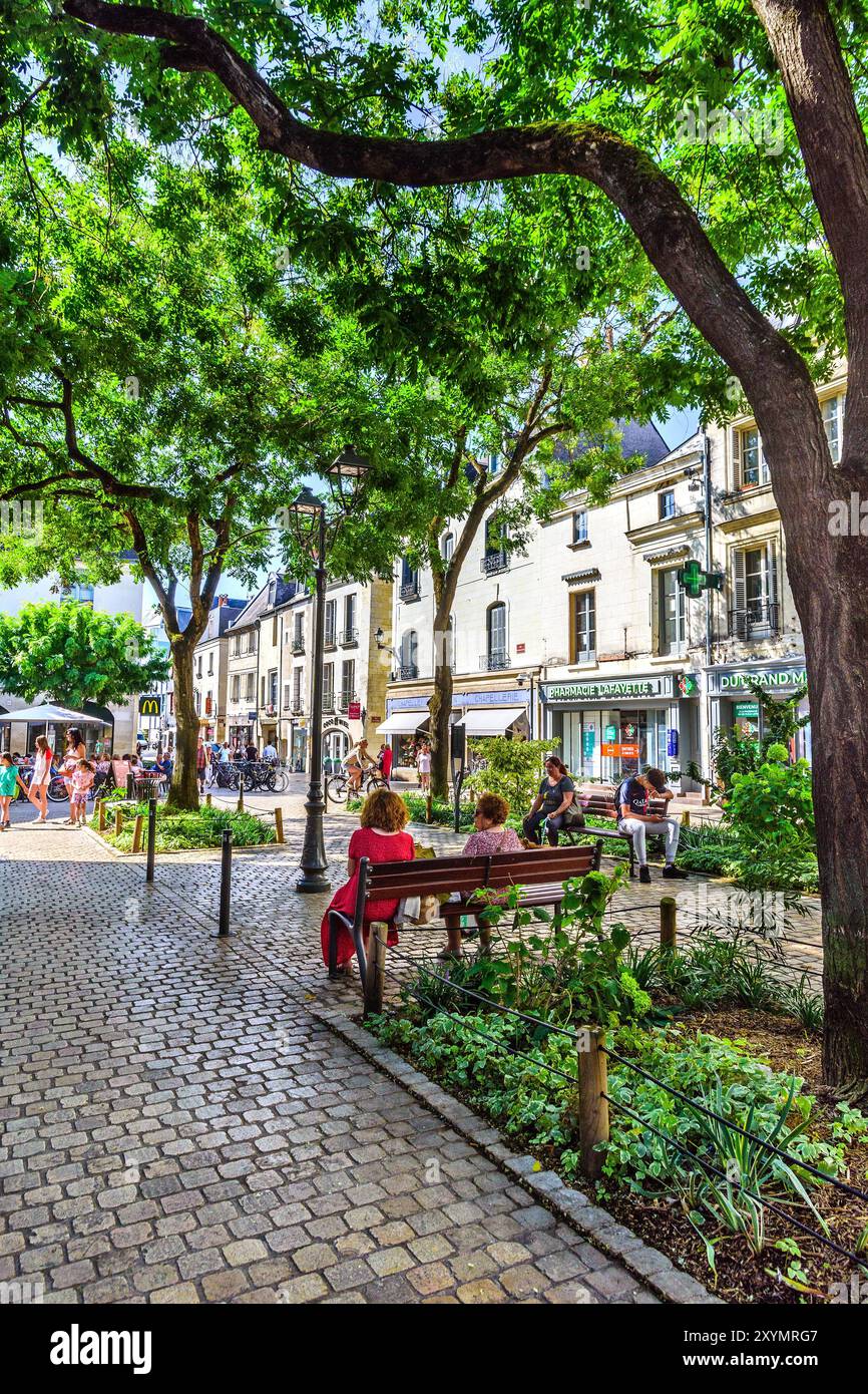Tree shade for visitors and residents on the Rue du Grande Marché, Tours, Indre-et-Loire (37), France. Stock Photo