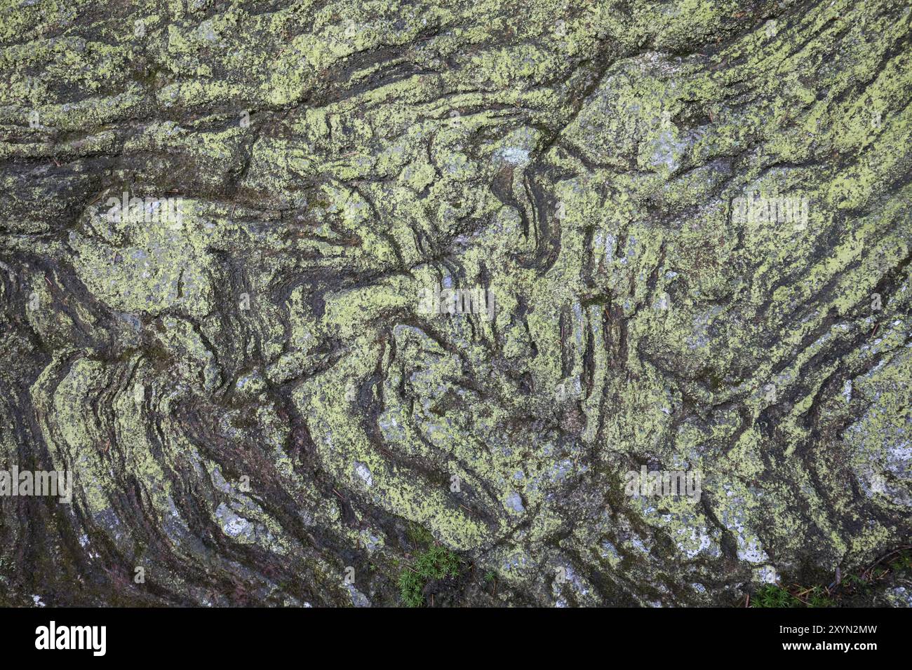 Structures in the stone hi-res stock photography and images - Alamy
