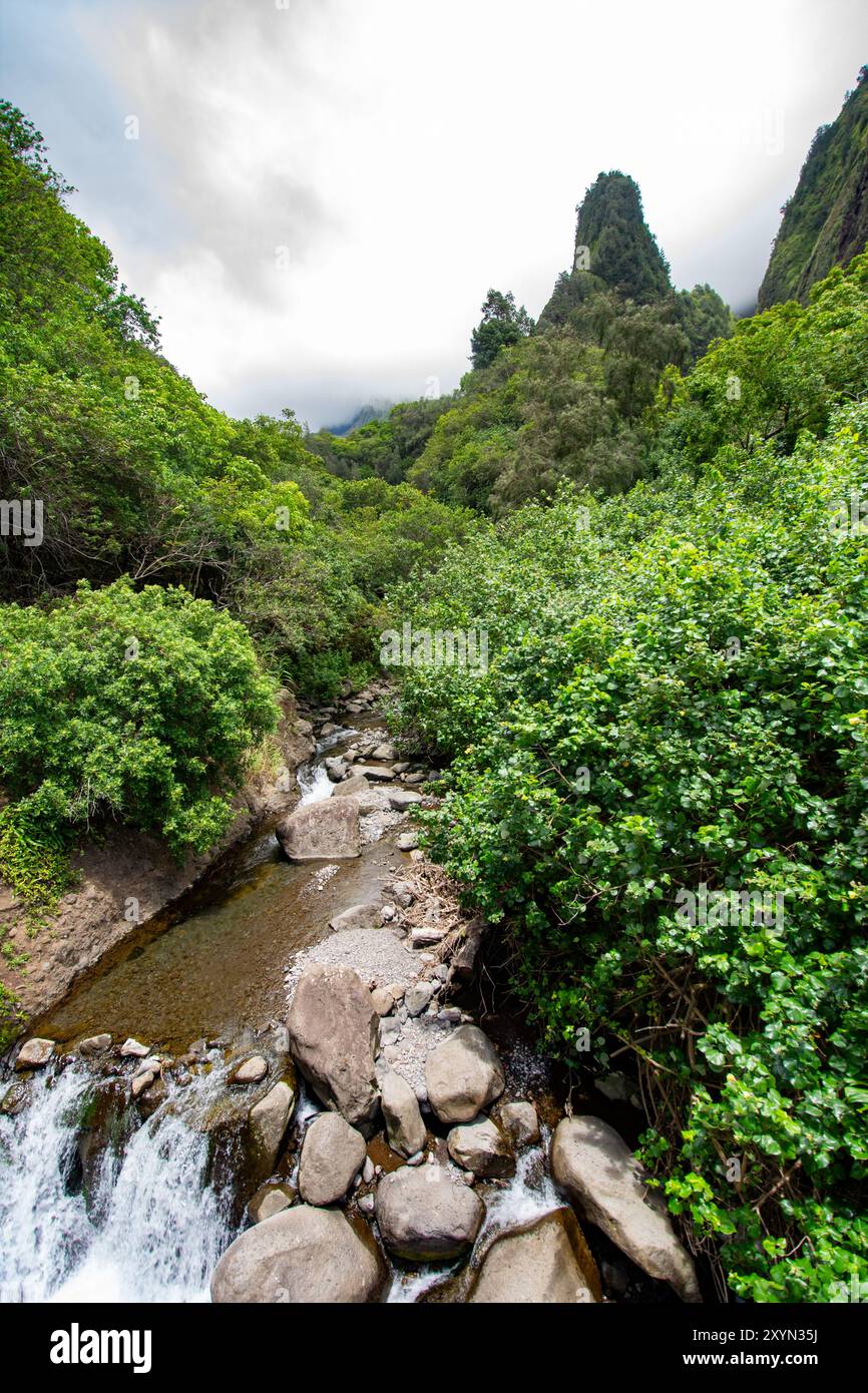 Iao valley state park in Maui, Hawaii in summer 2024 Stock Photo