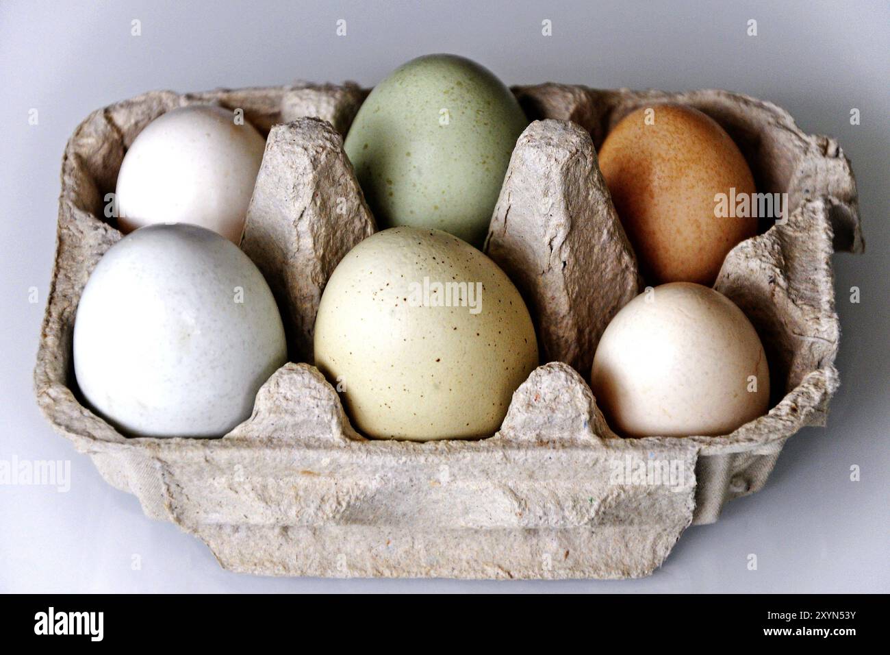 Pulled chicken eggs from organic farming Stock Photo