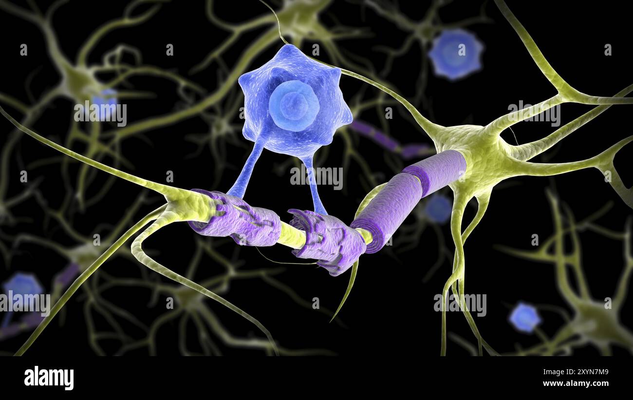 Multiple sclerosis research hi-res stock photography and images - Alamy