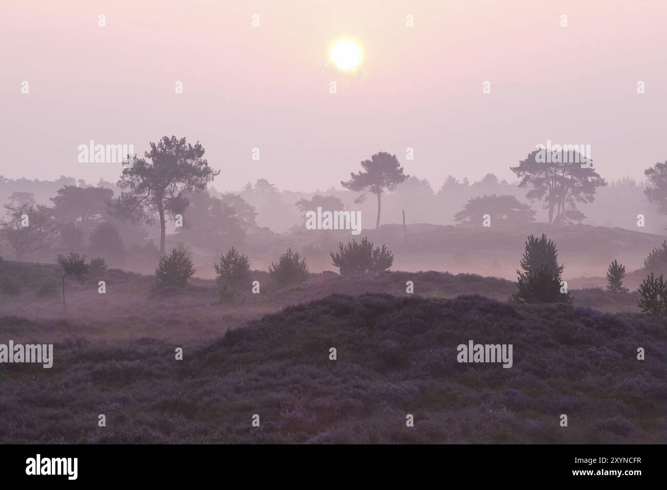 Sunrise over the hills hi-res stock photography and images - Alamy