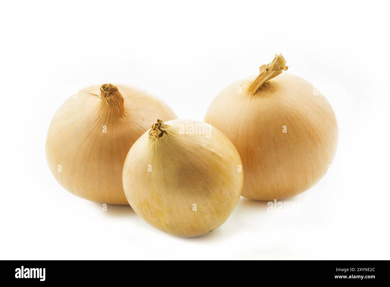 Three raw onions on a white background Stock Photo