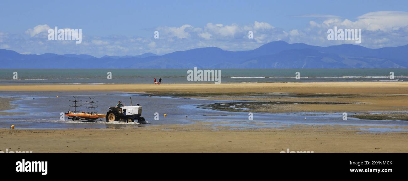 Scene at the beginning of the Abel Tasman National Park, New Zealand. Beach at low tide. Mountain range Stock Photo