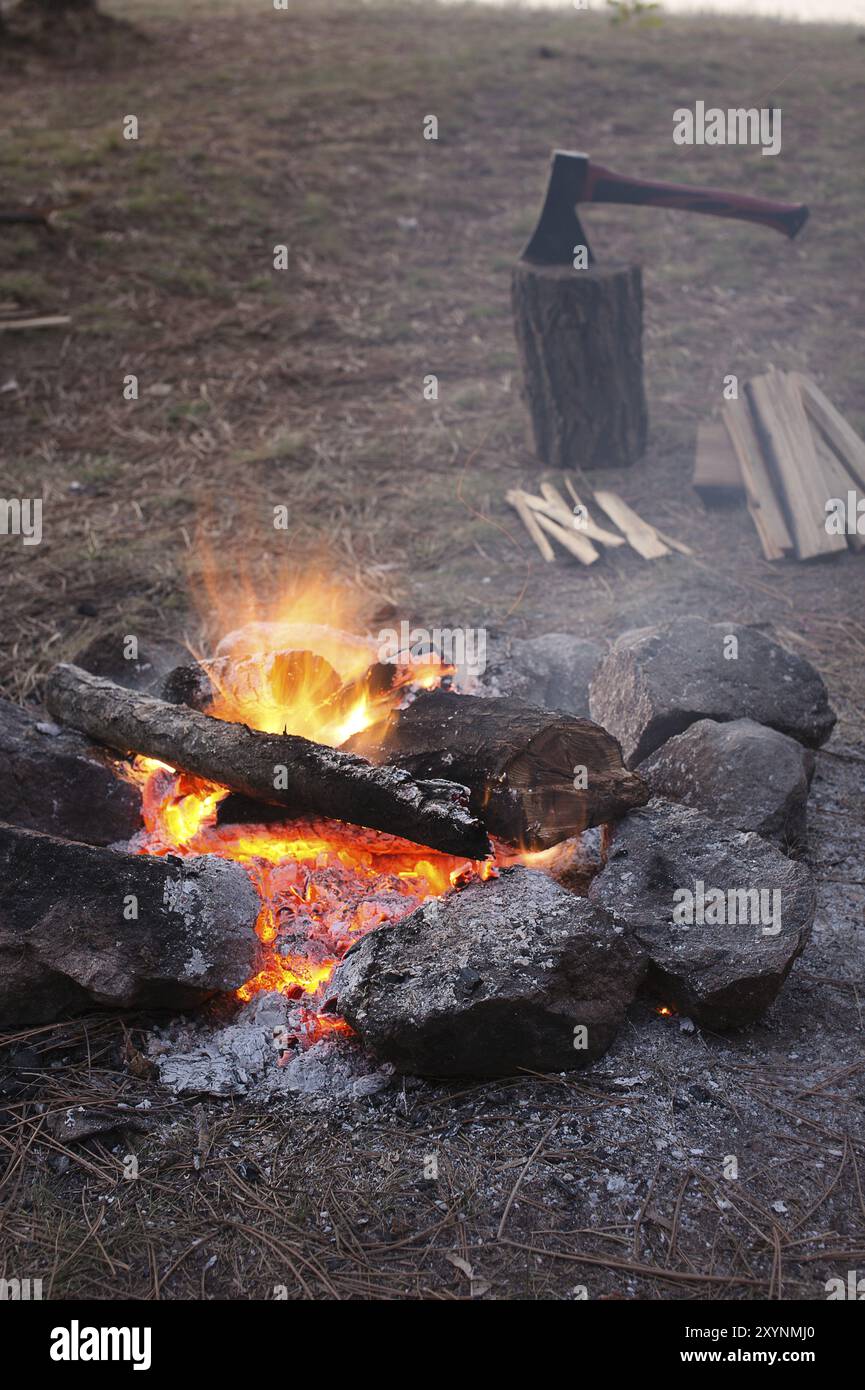 Bonfire in the forest Stock Photo - Alamy