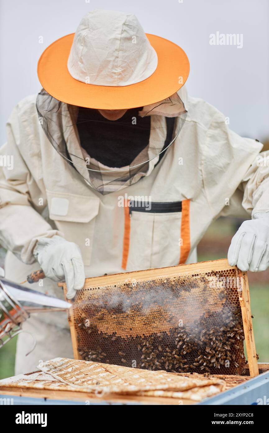 Vertical shot bee harvesting hi-res stock photography and images - Alamy