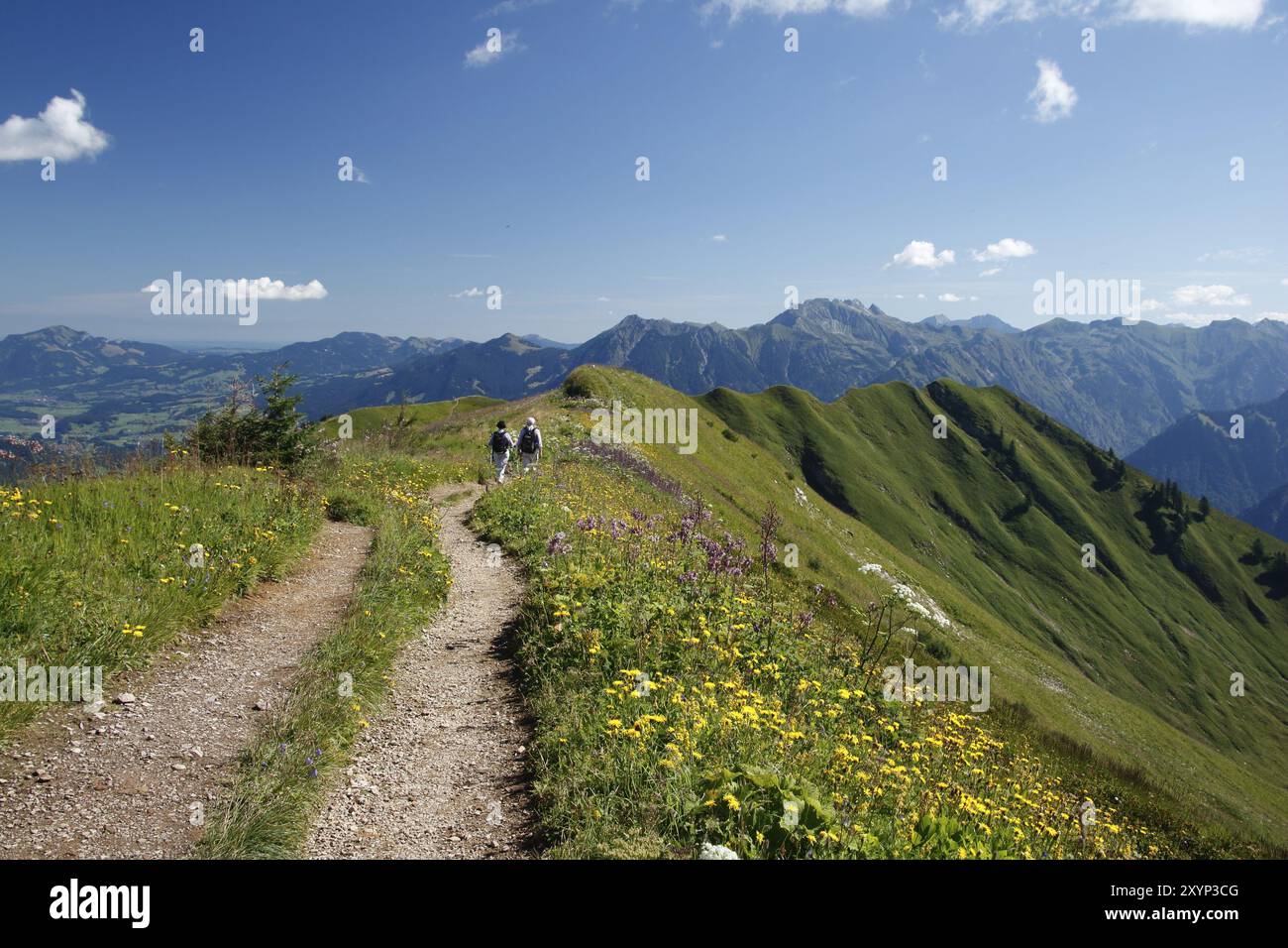 Ridge path to Soellereck Stock Photo - Alamy