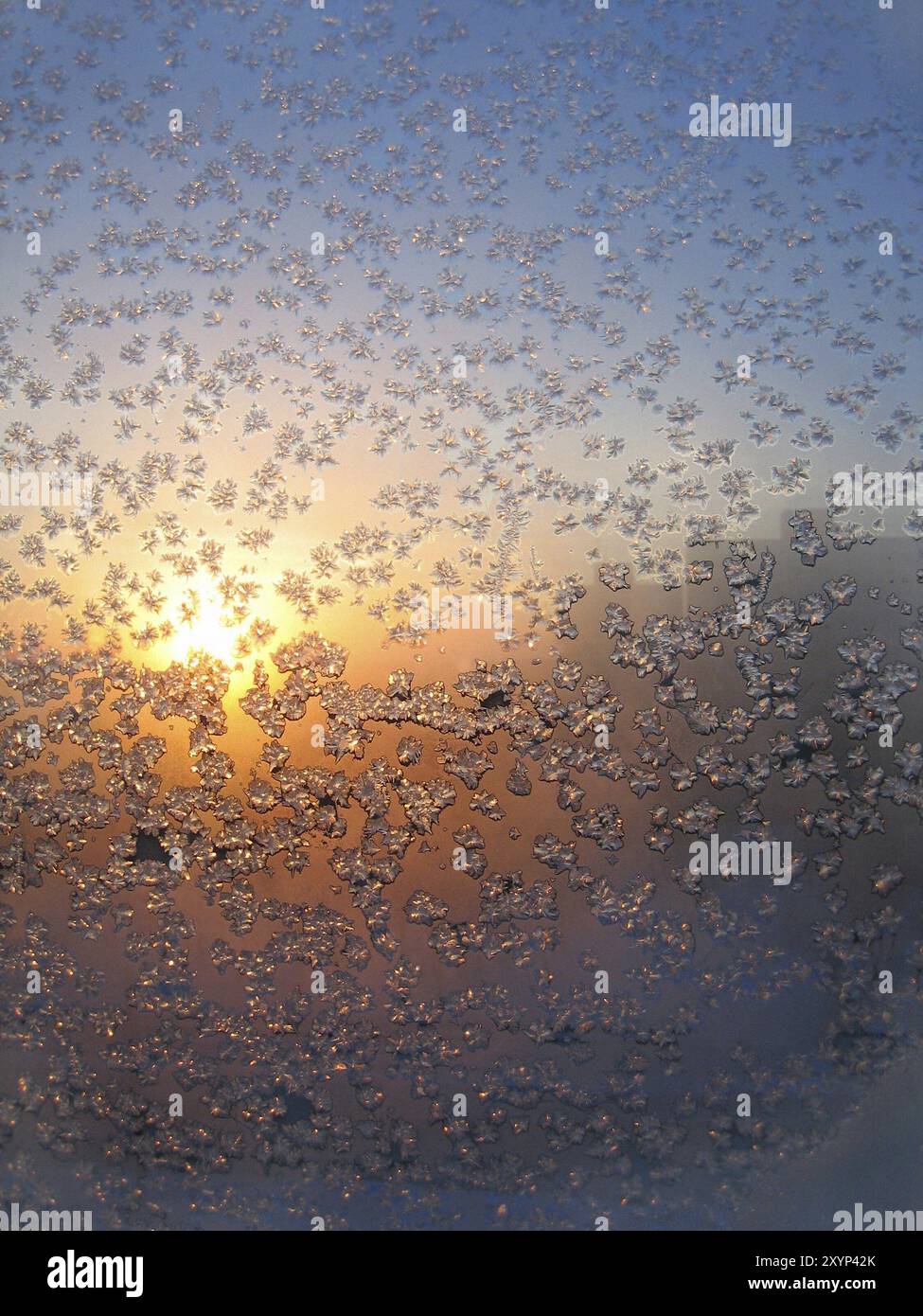 Frosty natural pattern and sunlight on winter window Stock Photo - Alamy