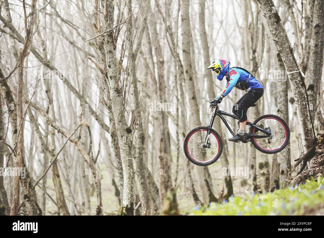 A mountain bike rider jumps from a springboard in a foggy forest, in ...