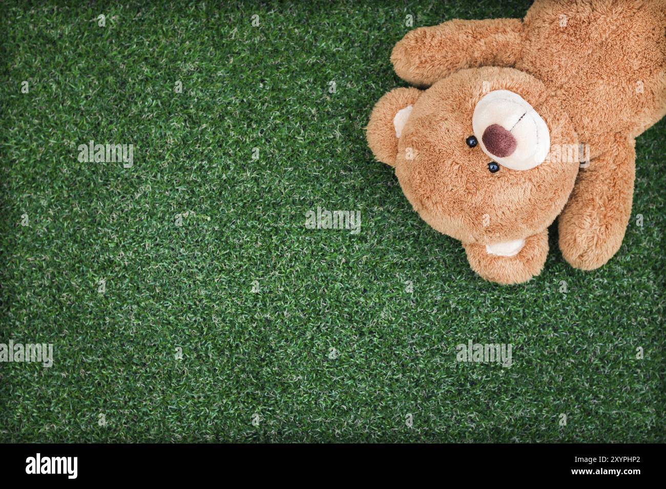 Cute teddy bear on green grass background Stock Photo - Alamy
