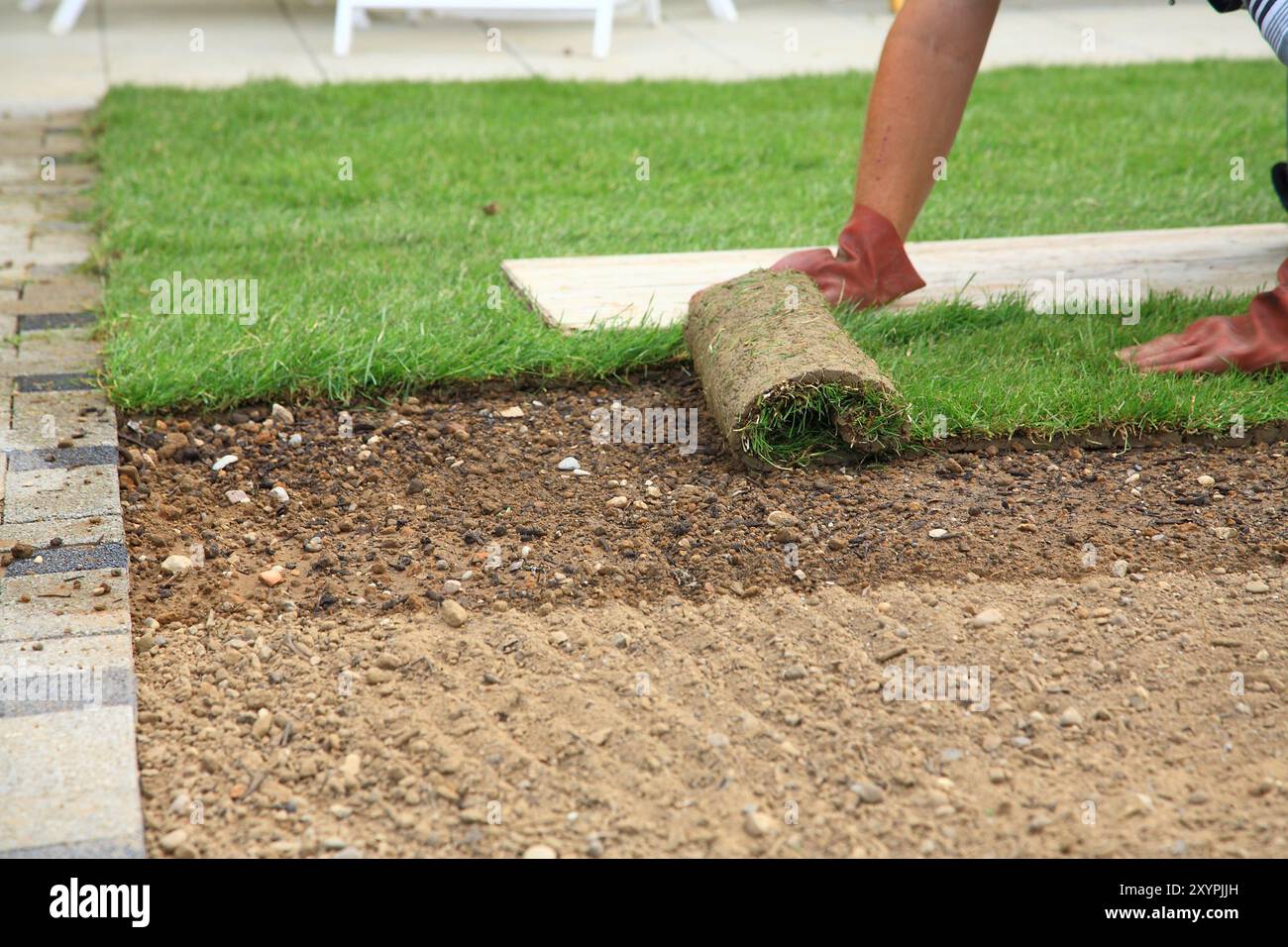 Fertilizers lawn hi-res stock photography and images - Alamy