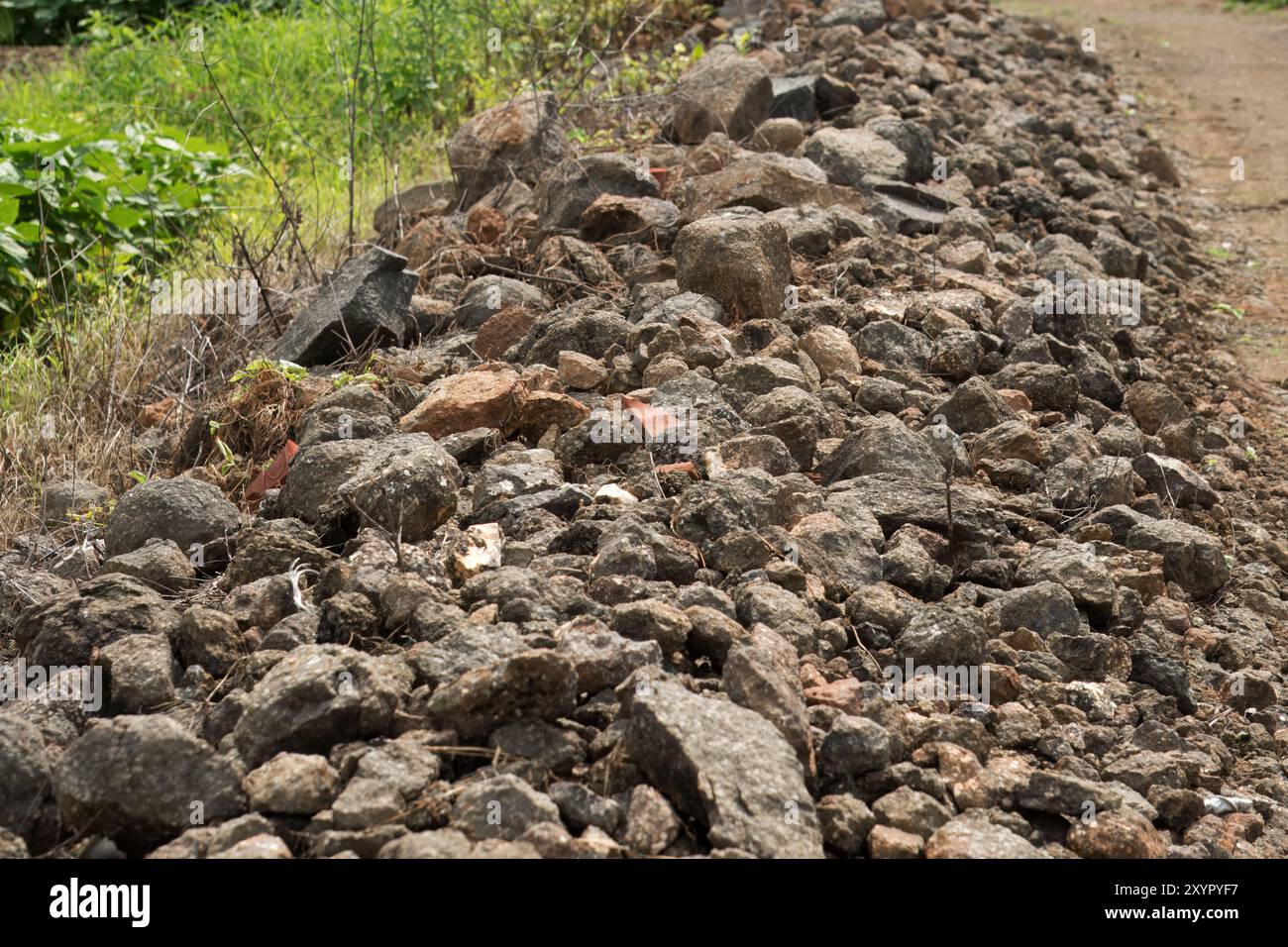 Roadside vegetation management hi-res stock photography and images - Alamy