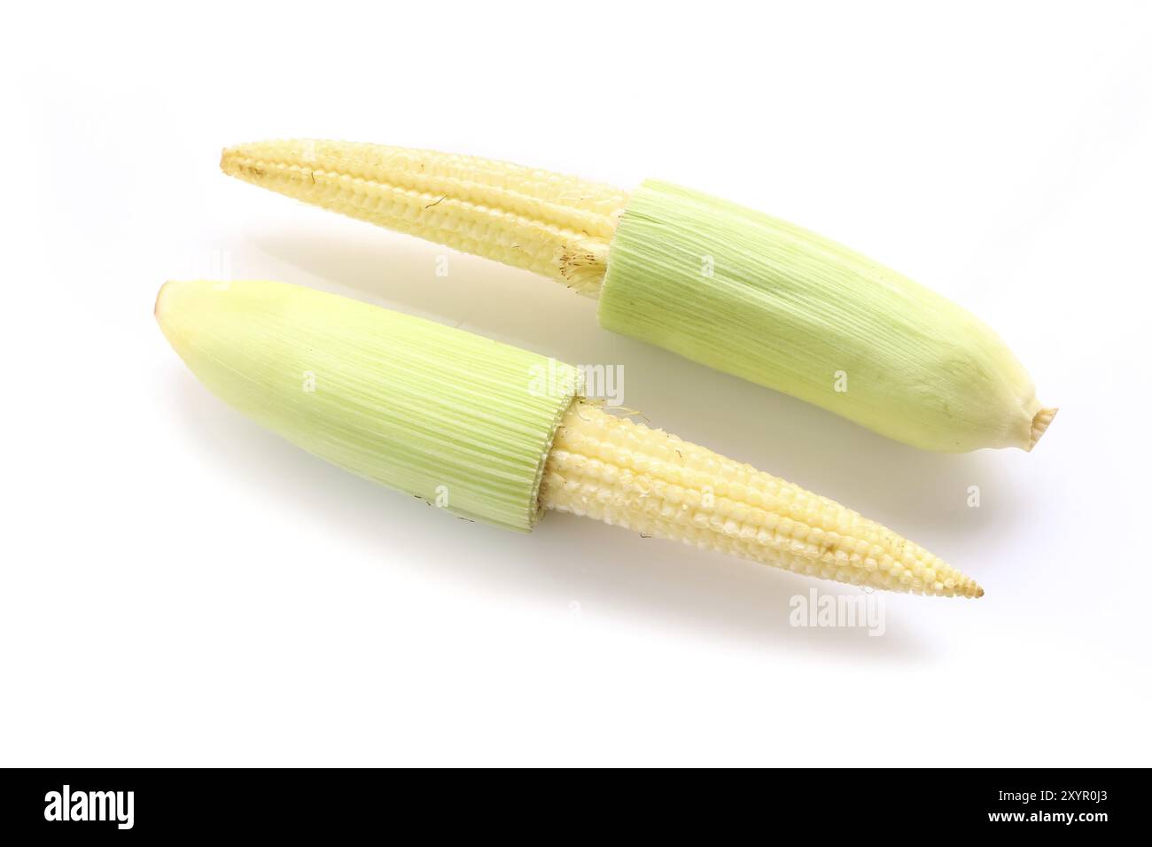 Infant corn hi-res stock photography and images - Alamy