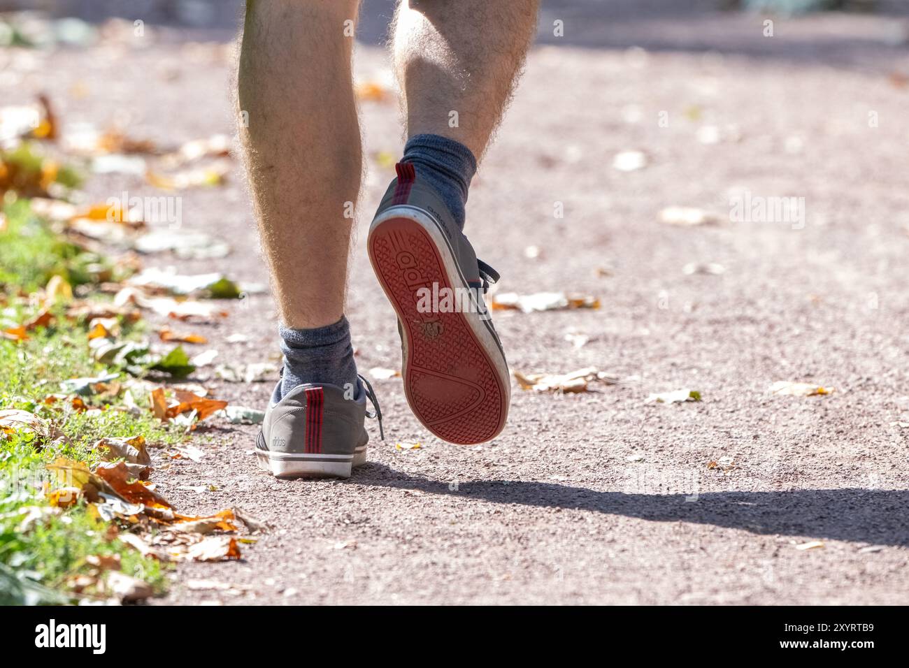 , Deutschland, 30.08.2024,  Nahaufnahme der Beine einer Person in Bewegung auf einem Waldweg. Der Fokus liegt auf den Schuhen und Socken der Person, w Stock Photo