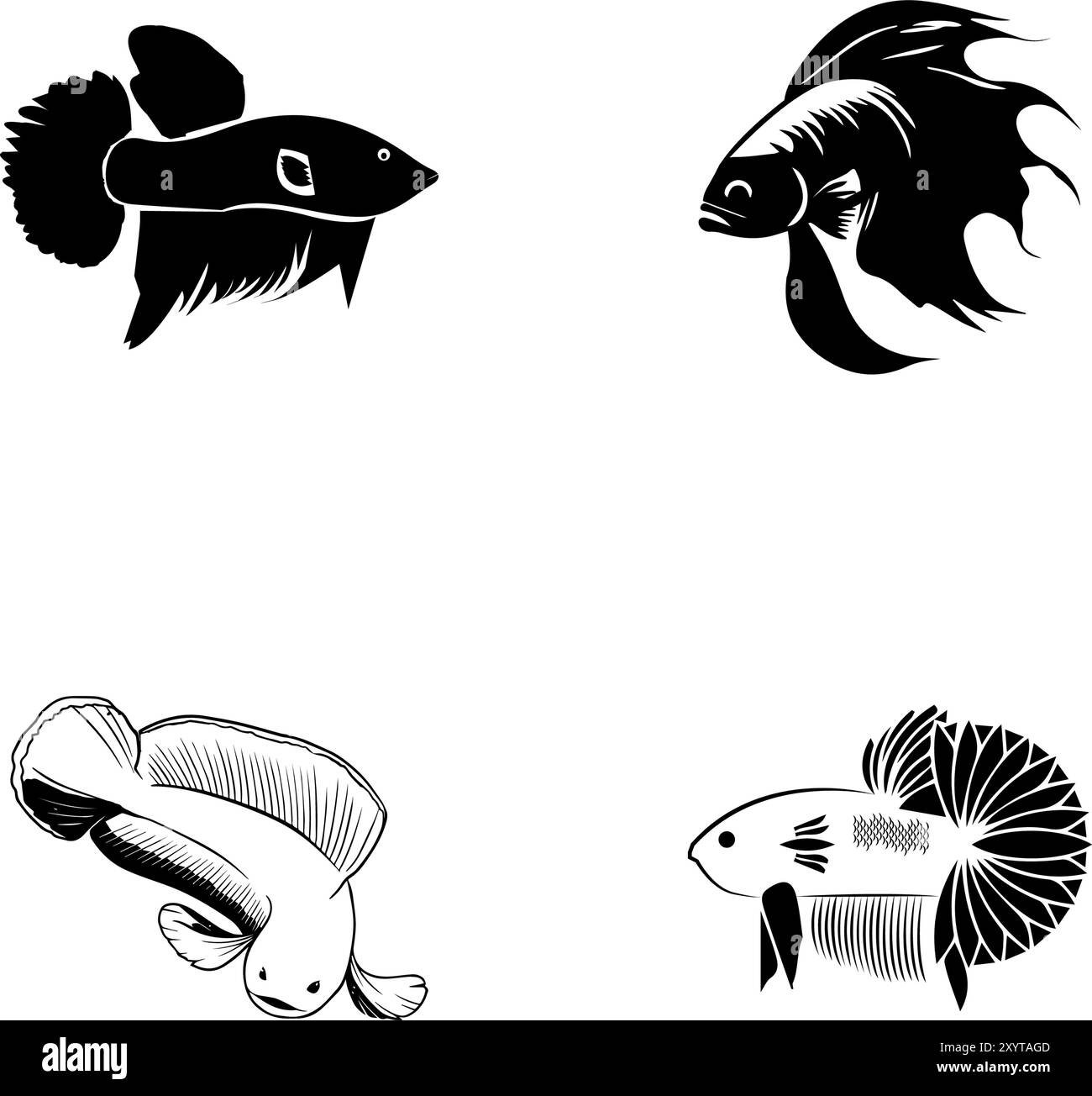 Betta fish icon set Stock Vector
