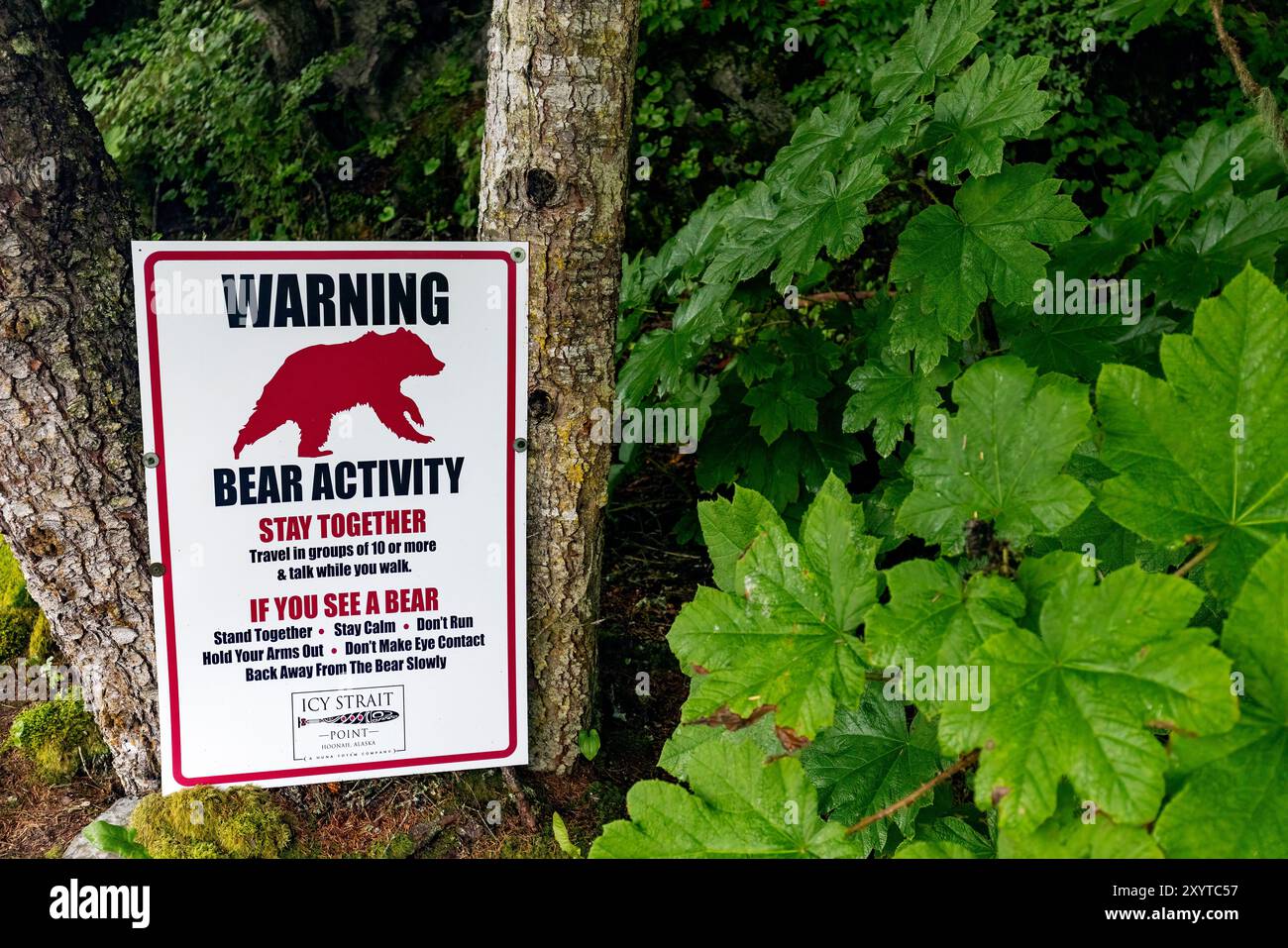 Warning Bear Activity Sign - Icy Strait Point, Hoonah, Alaska, USA Stock Photo