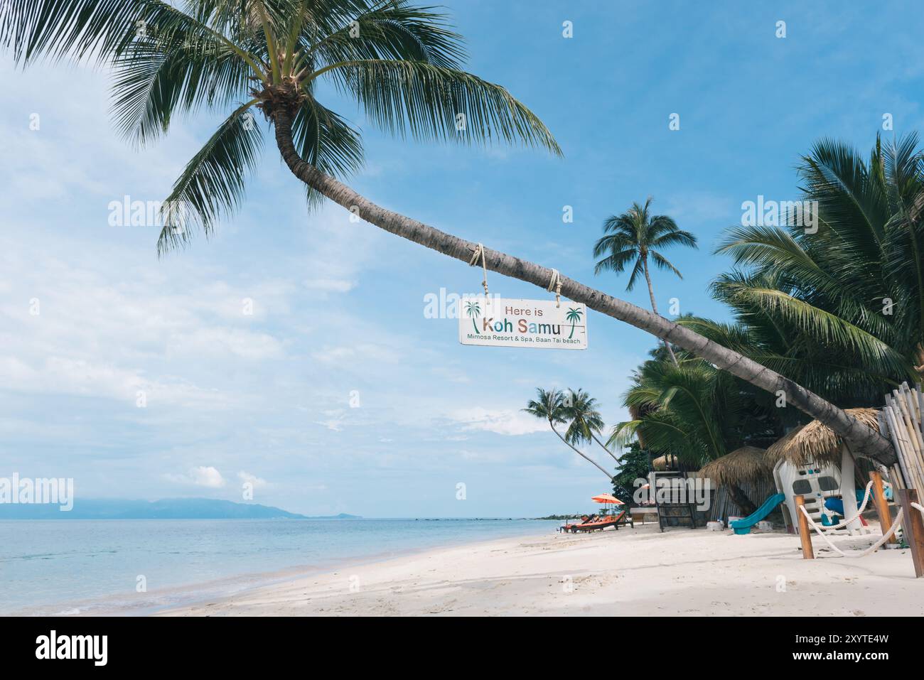 A serene tropical beach scene on Koh Samui, Thailand, with clear blue skies, calm ocean waters, and a leaning palm tree. Stock Photo
